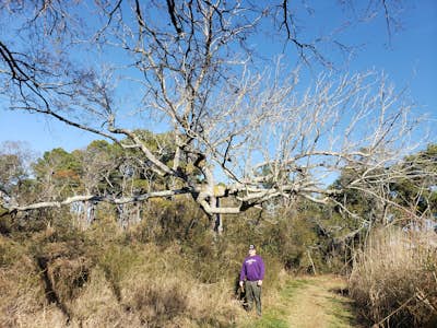 Hike the Burton Island Trail