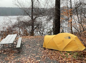 Camp at Pickerel Point Campground