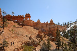 Mossy Cave Turret Arch and Little Windows Trail