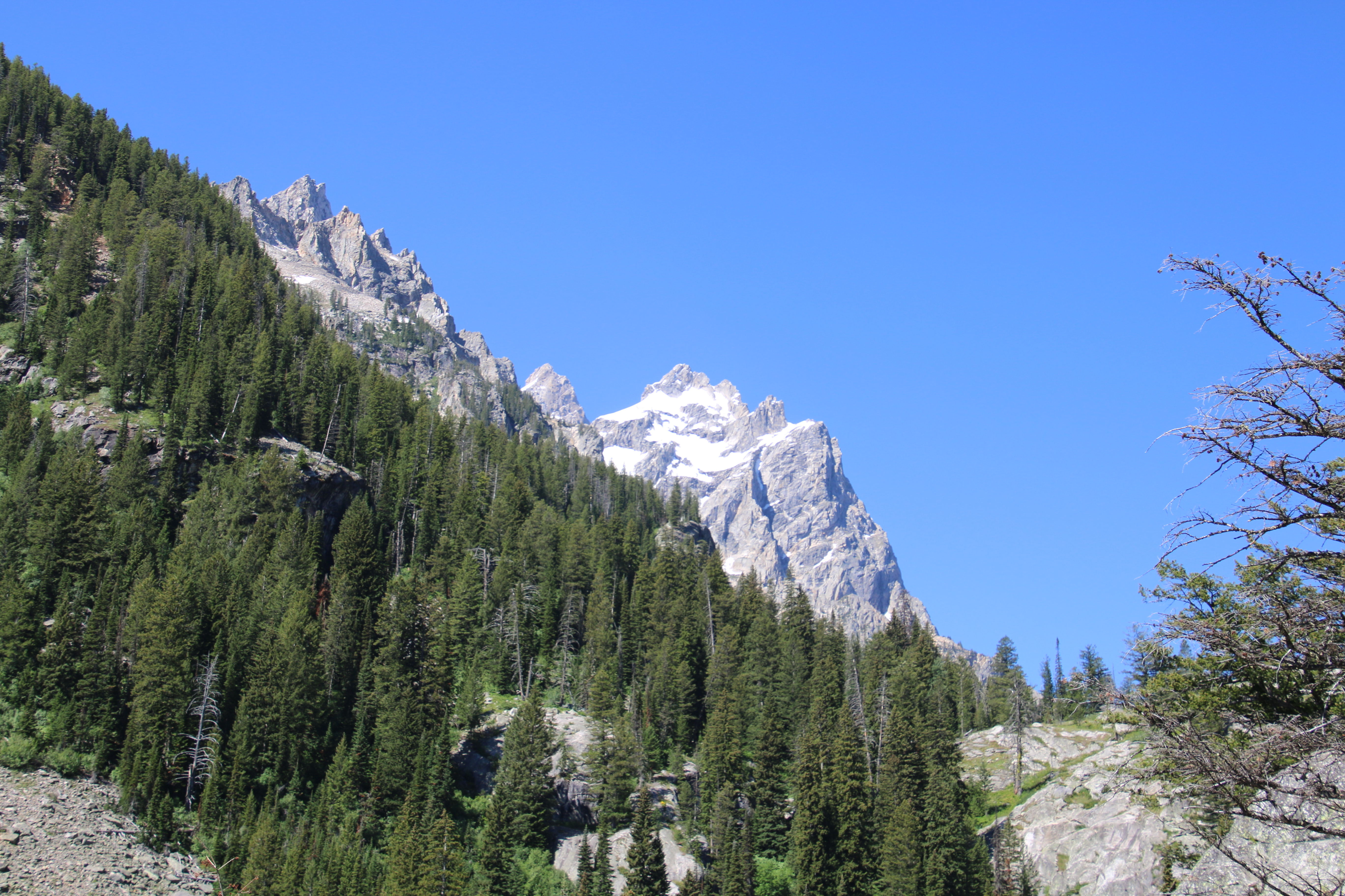 Hidden Falls Trail