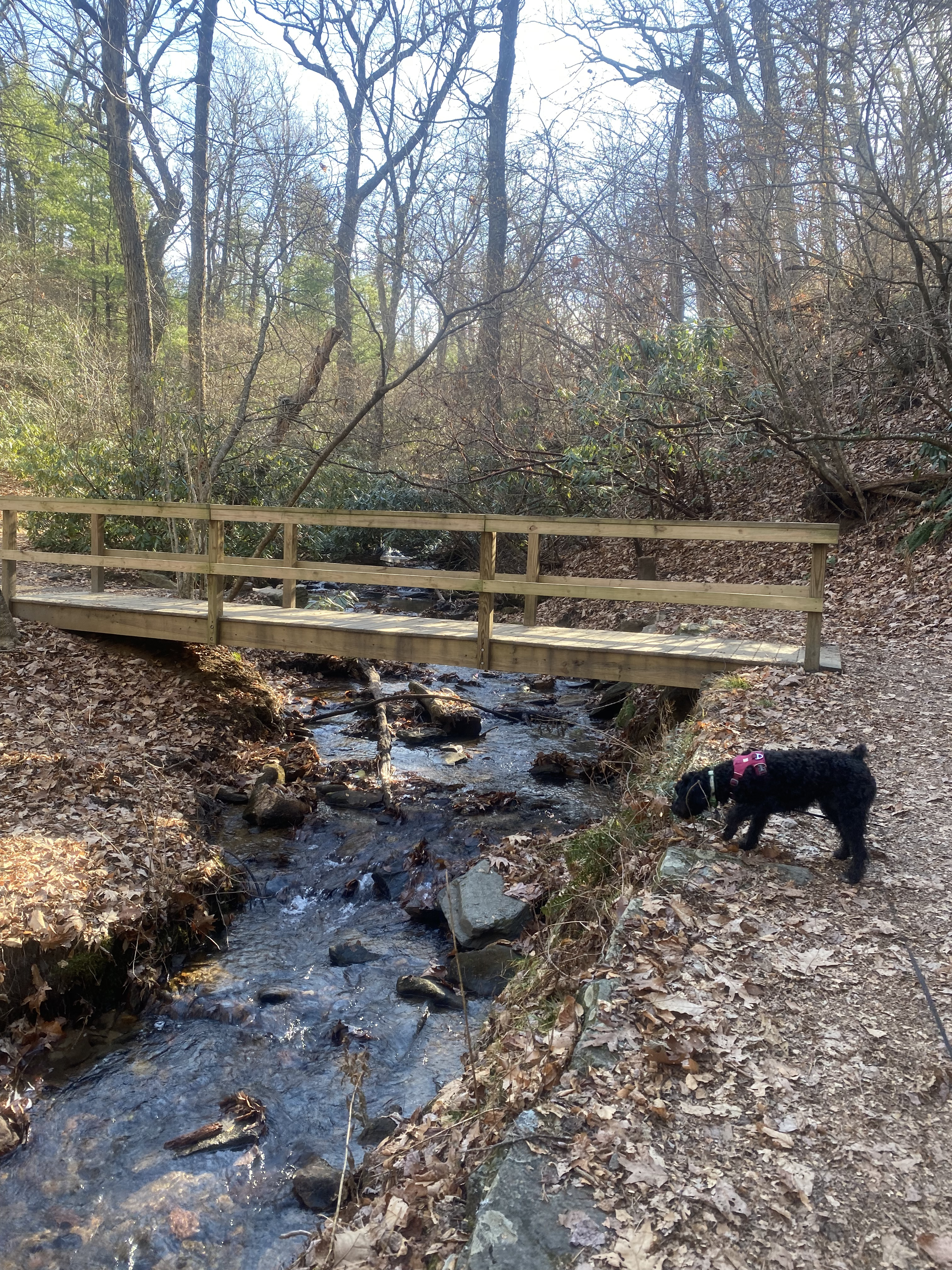 Cascades Trail