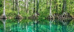 My Favorite Places To Explore In Florida