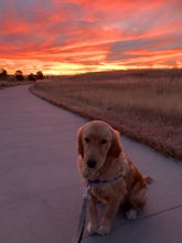 Westerly Creek Trail