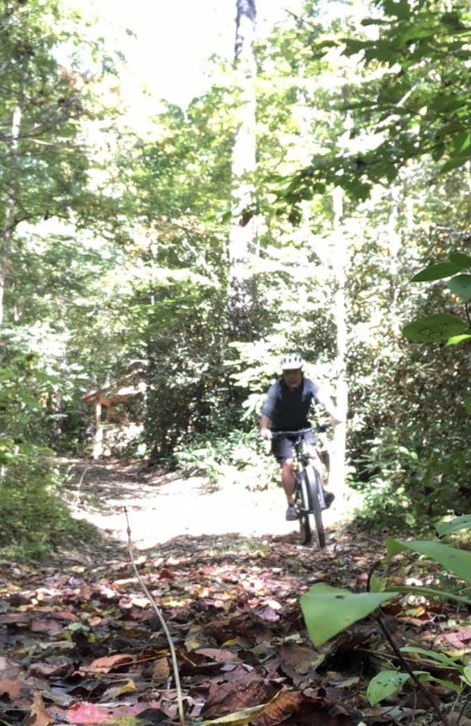 A man wearing a bike helmet mountain biking on a forested trail with brown leaf litter on the ground.