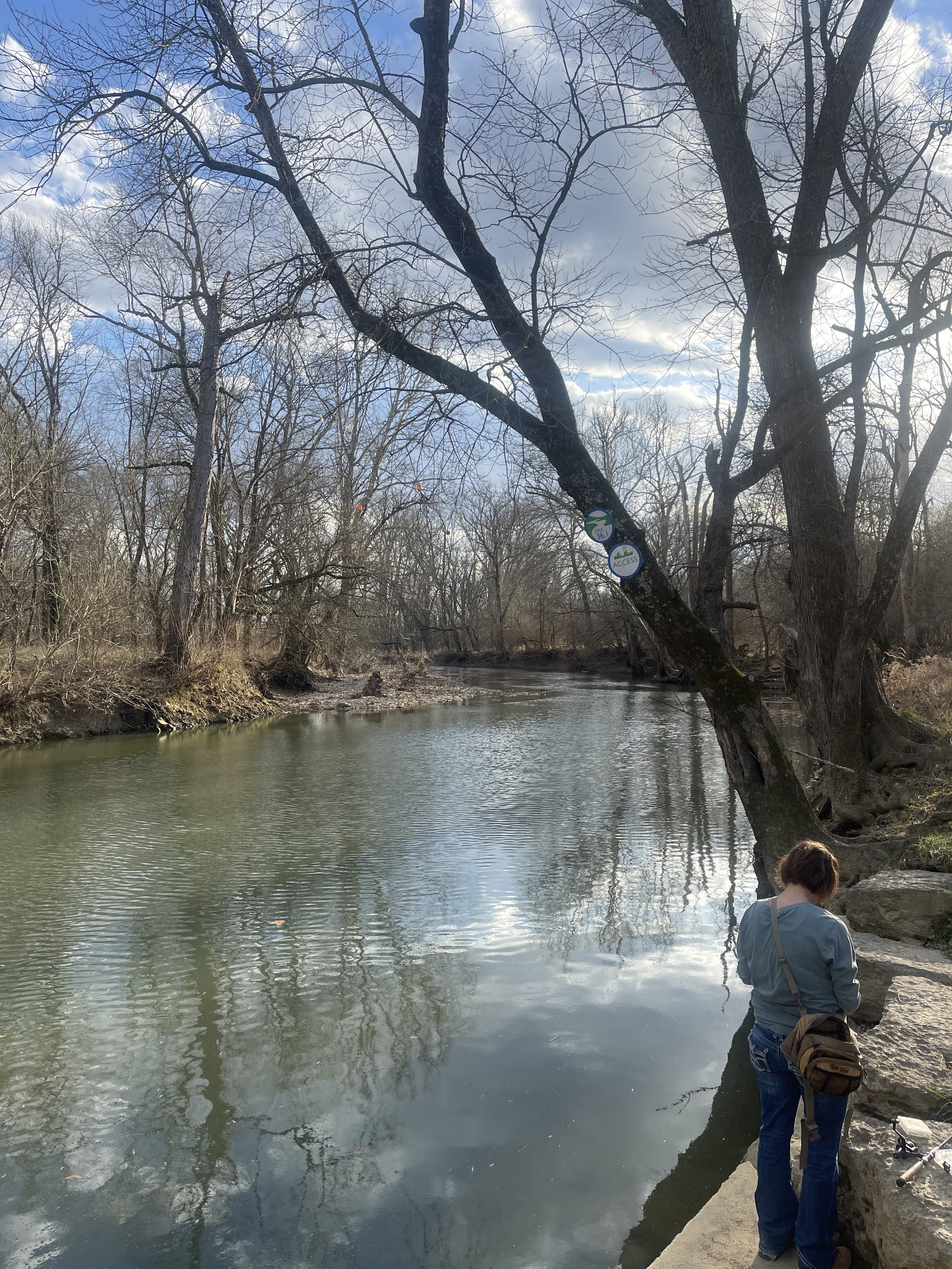 William F. Miles Lakes: Coppiced Woods Trail