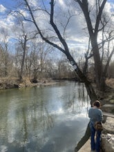 William F. Miles Lakes: Coppiced Woods Trail