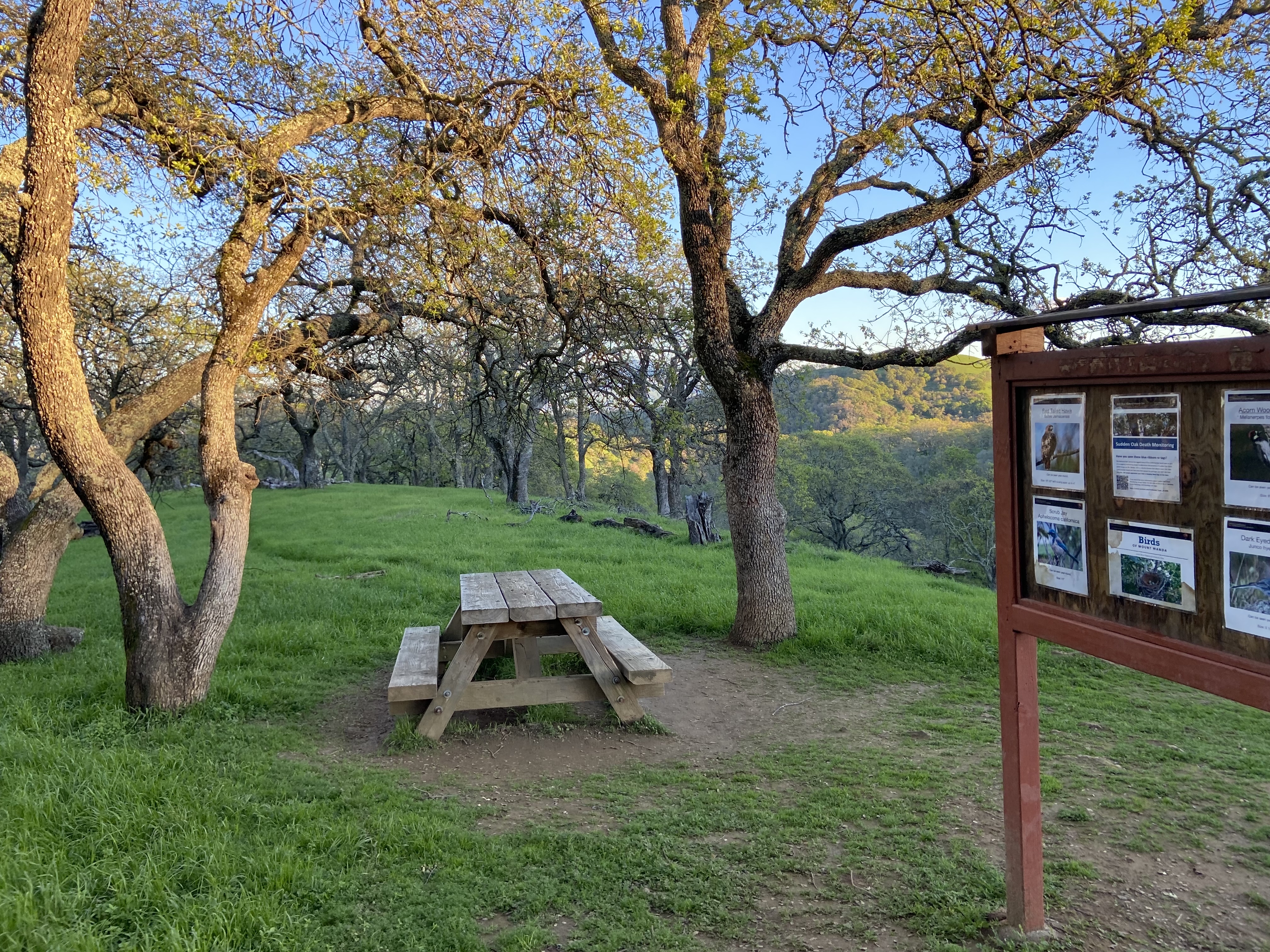 Muir Farm And Mount Wanda: John Muir Nature Trail