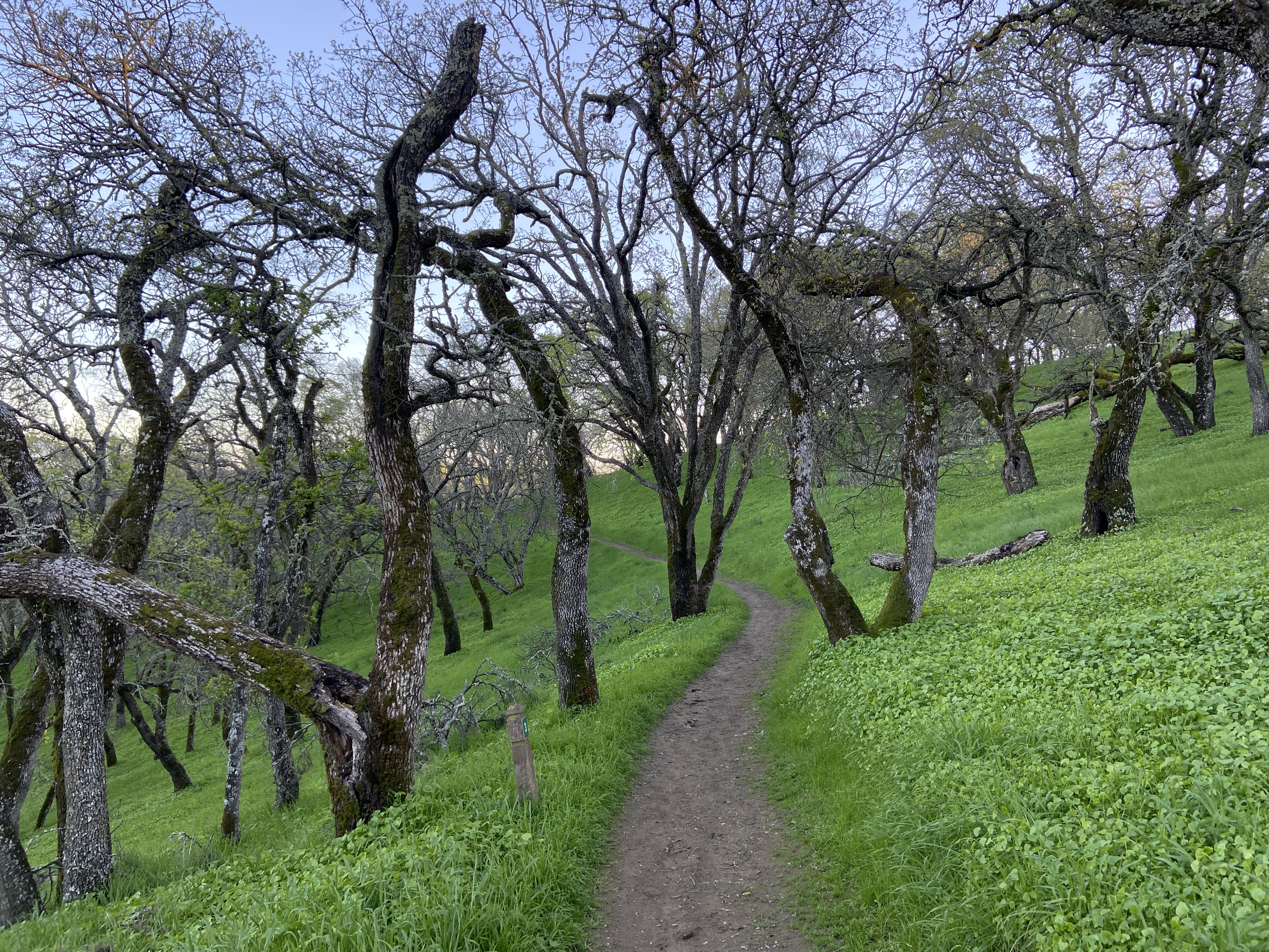Muir Farm And Mount Wanda: John Muir Nature Trail