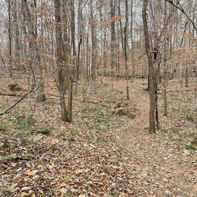 Old Field Bluff Trail