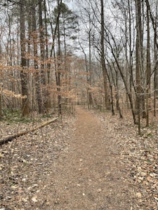 Old Field Bluff Trail