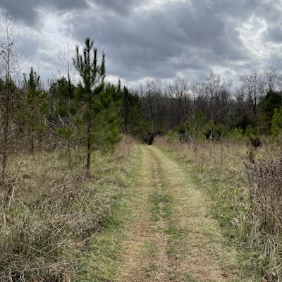 Old Field Bluff Trail