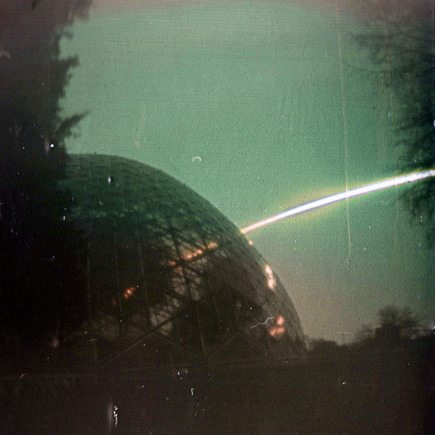 ​Explore the Milwaukee Domes      
