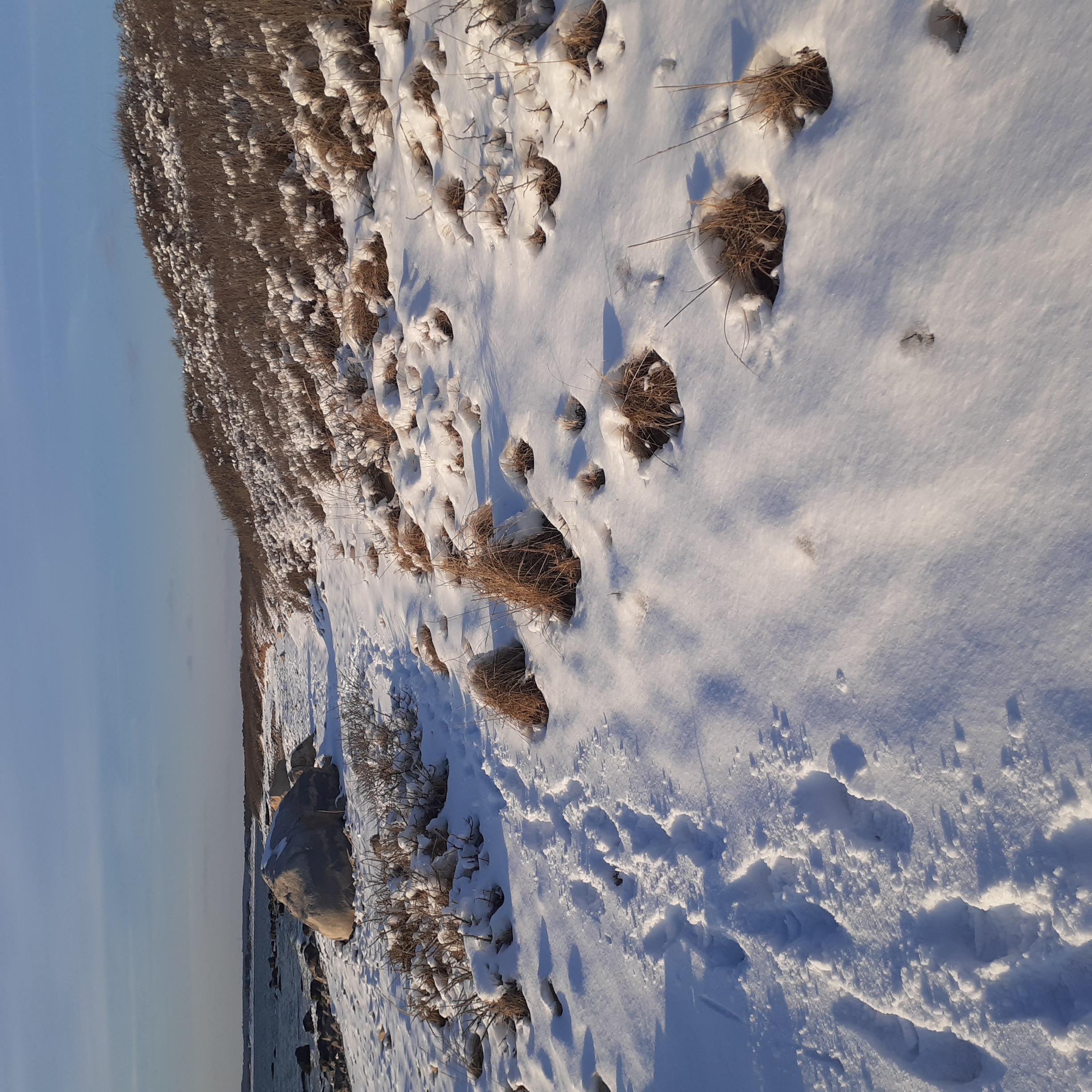 Hike Gooseberry Island