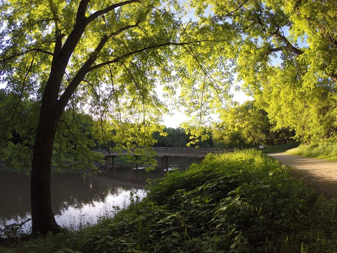 A bench overlooking water with green trees and a trail.