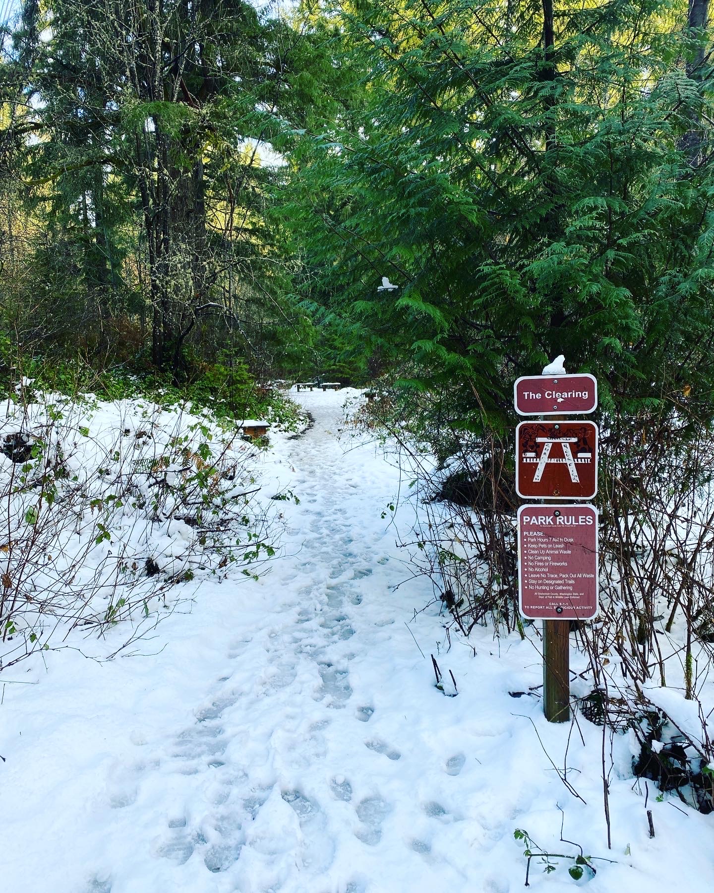 Woodland Plateau and Lloyd Trail Loop