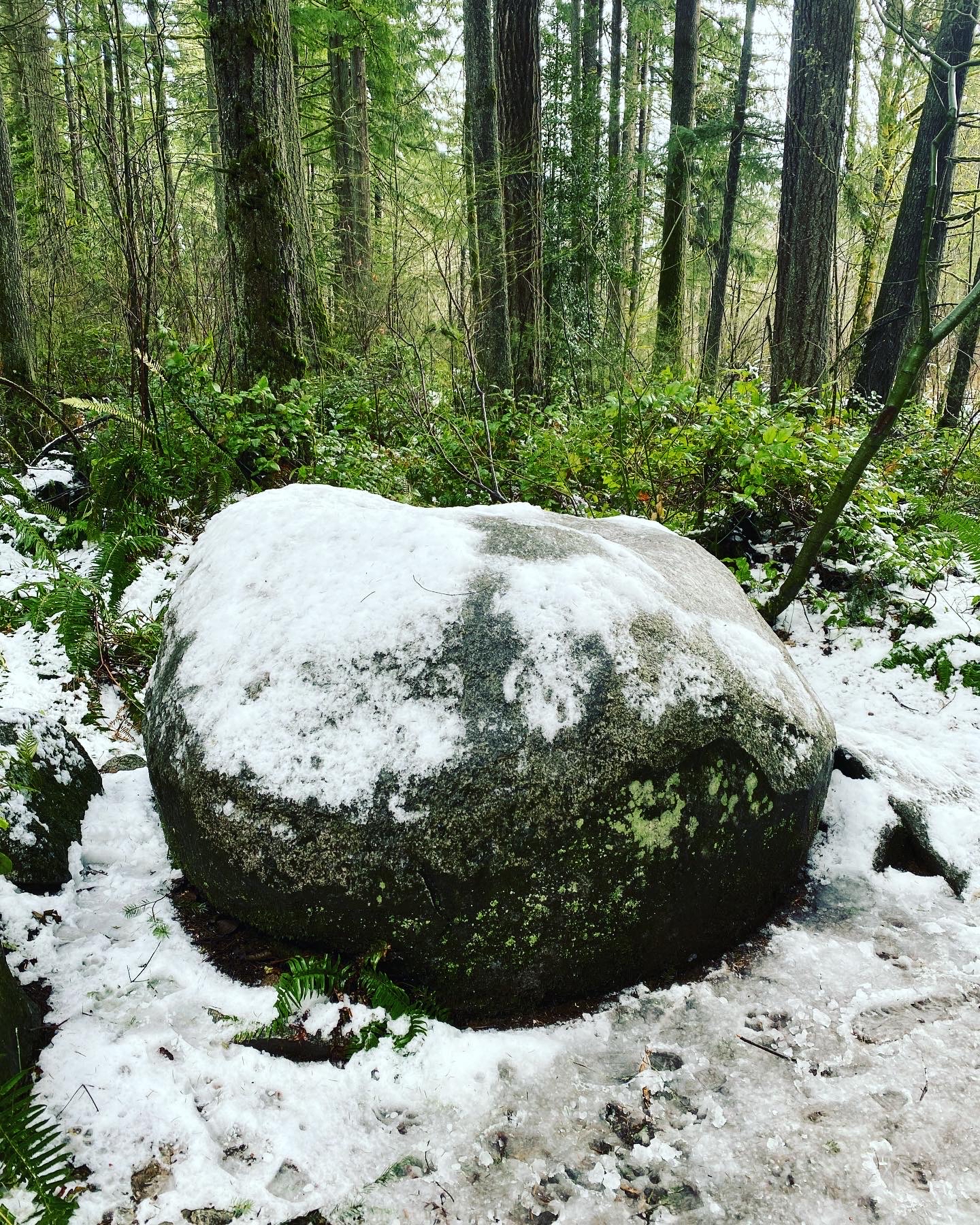 Woodland Plateau and Lloyd Trail Loop