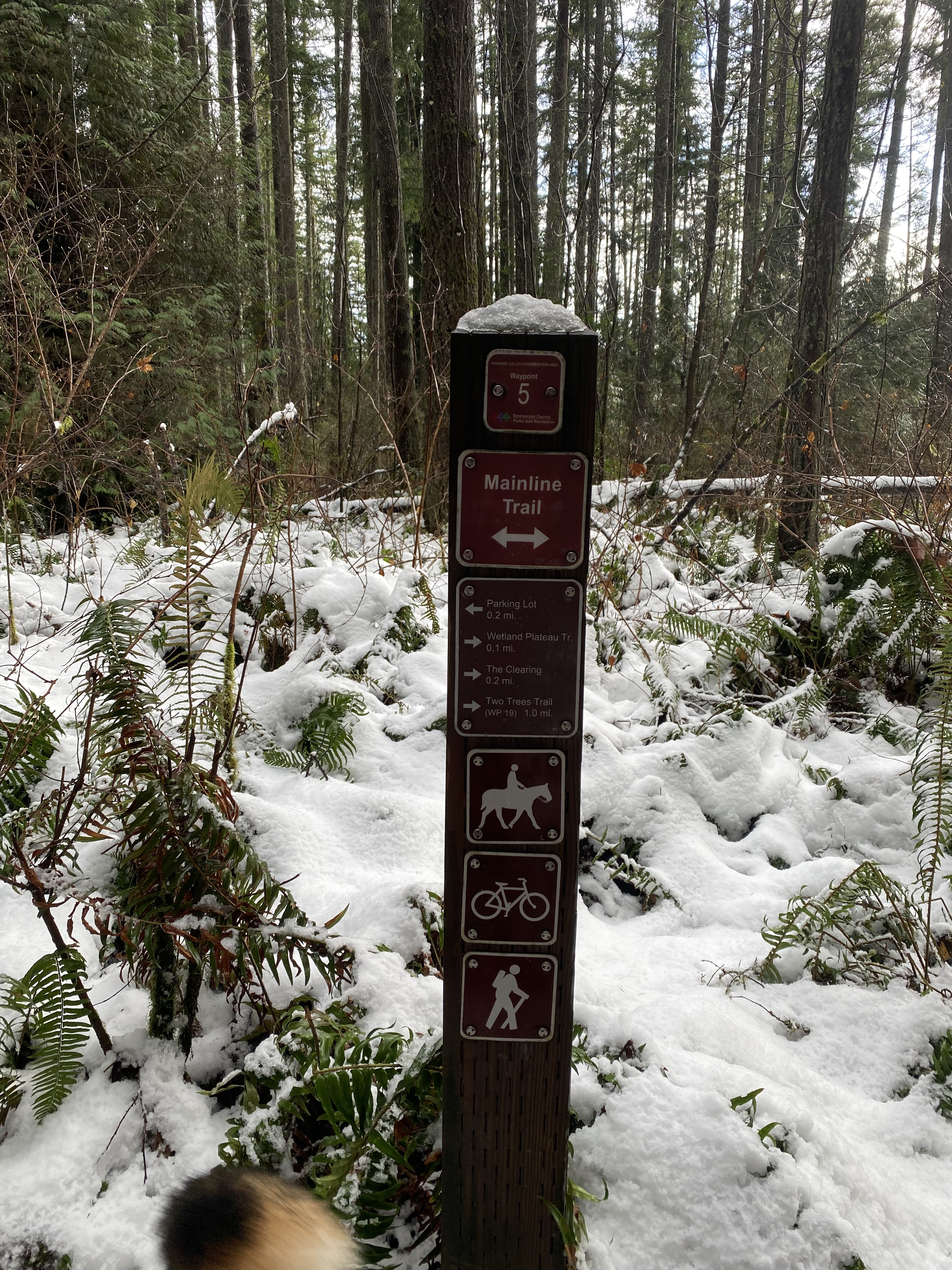 Woodland Plateau and Lloyd Trail Loop