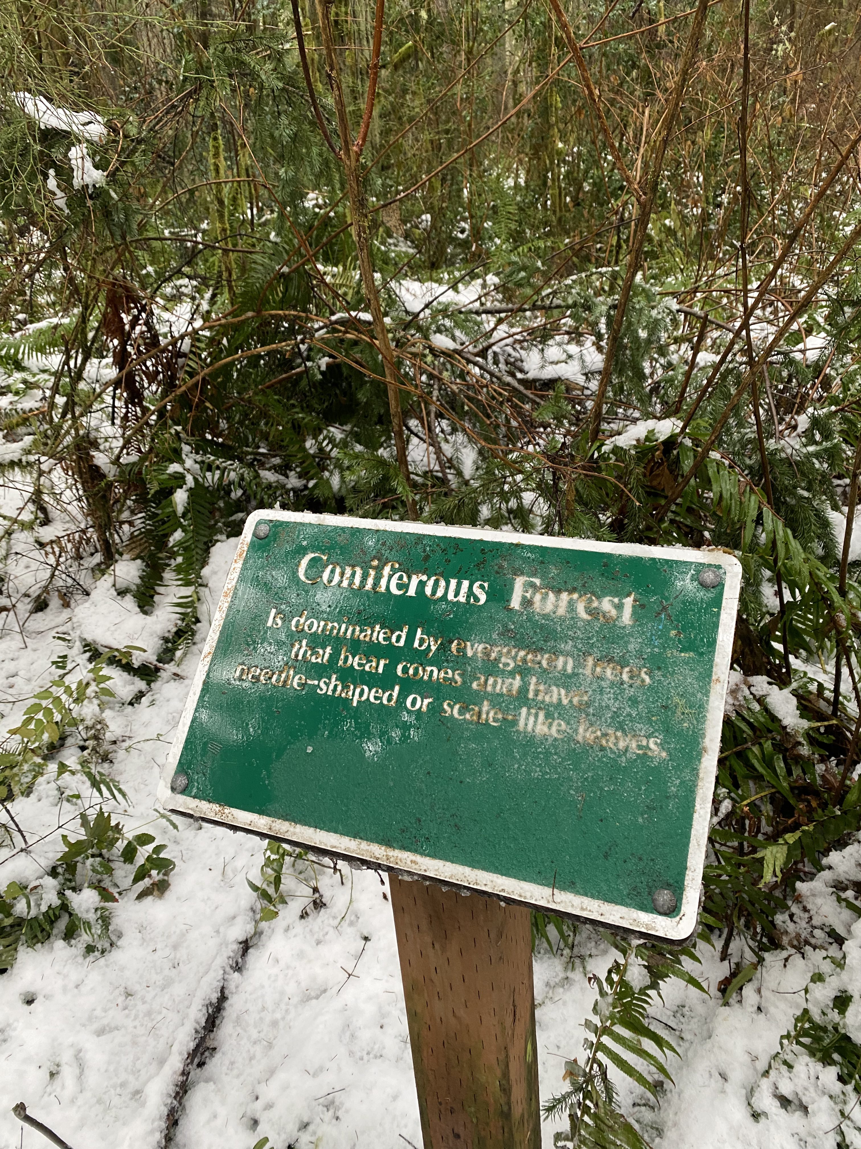 Woodland Plateau and Lloyd Trail Loop