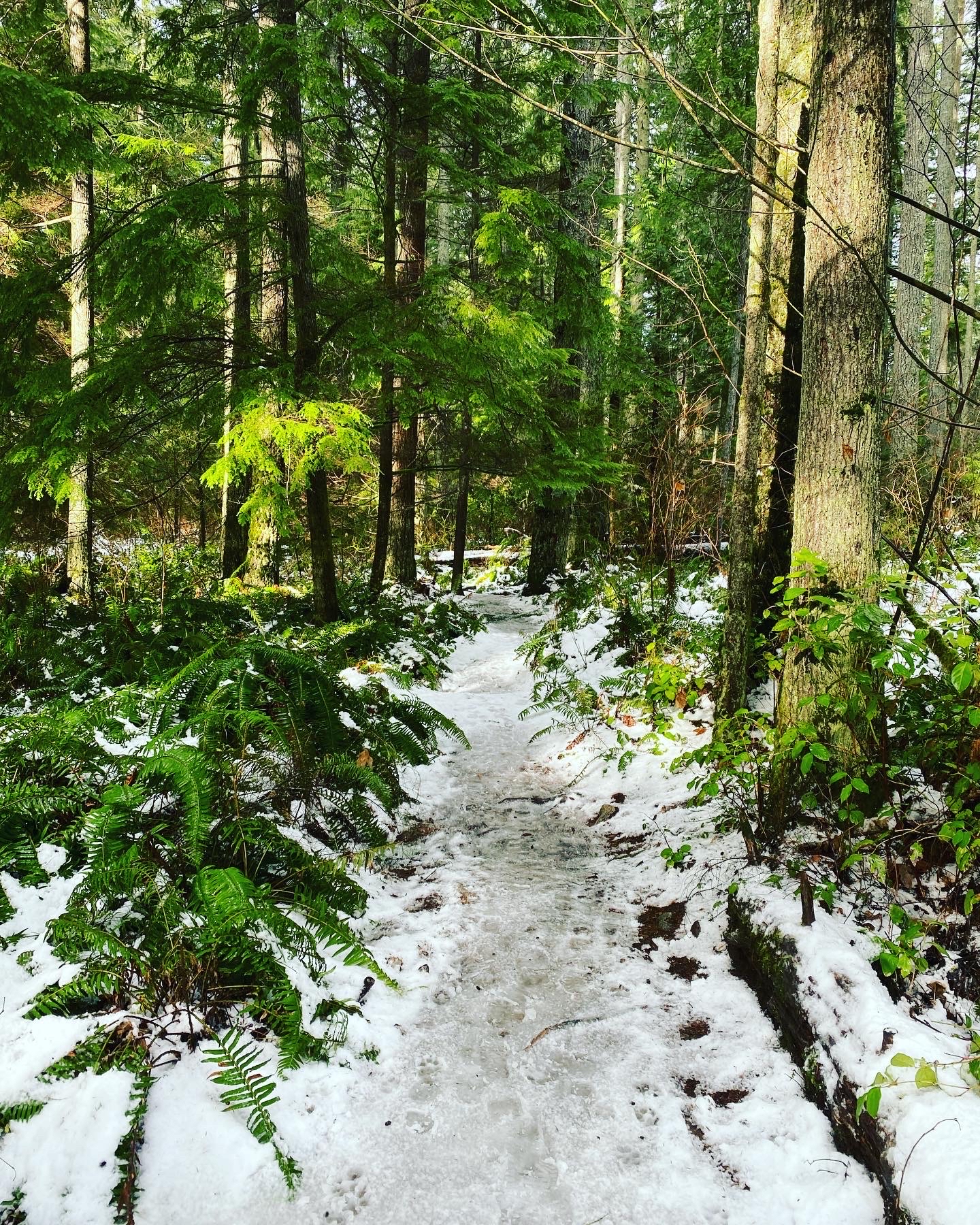Woodland Plateau and Lloyd Trail Loop