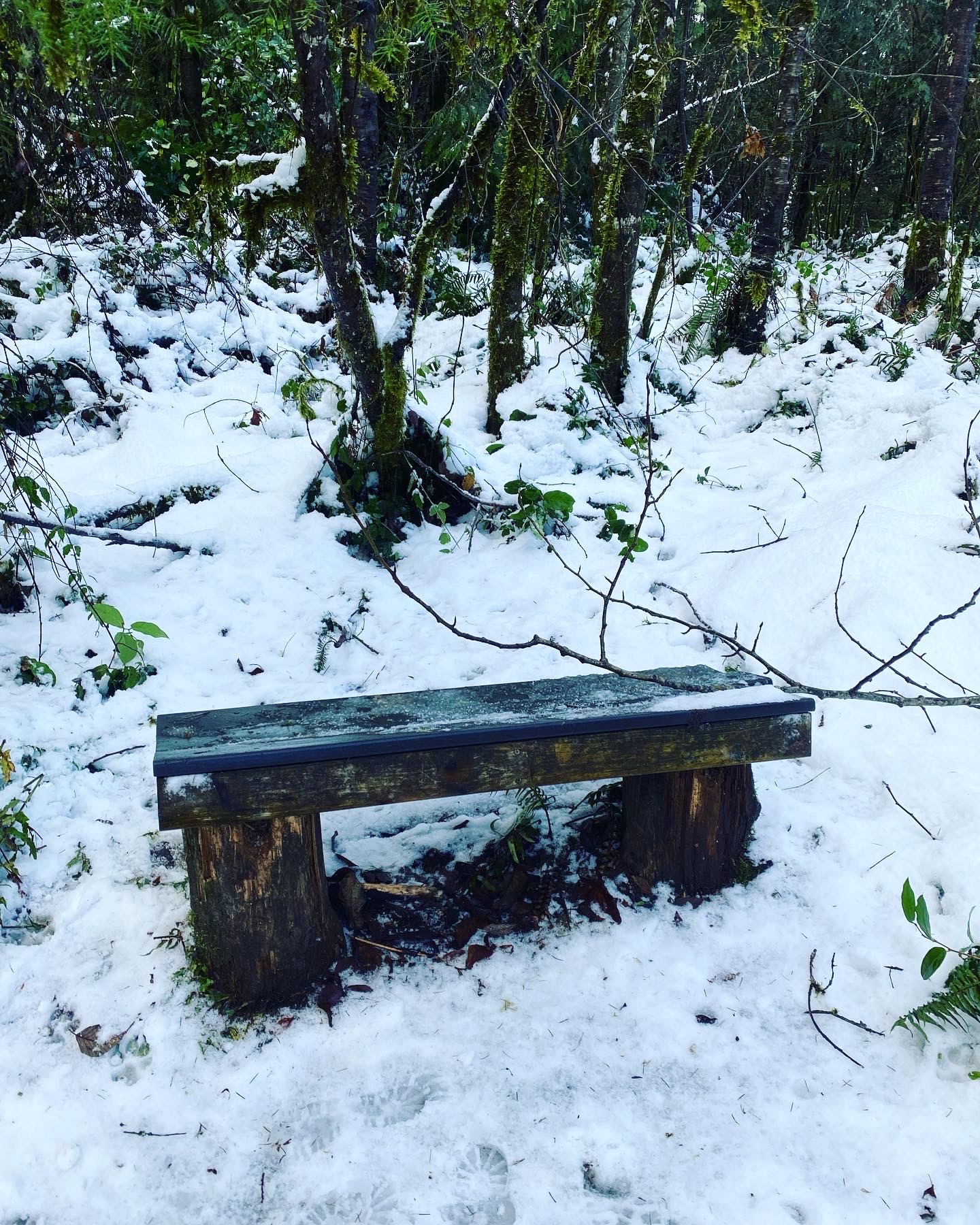 Woodland Plateau and Lloyd Trail Loop