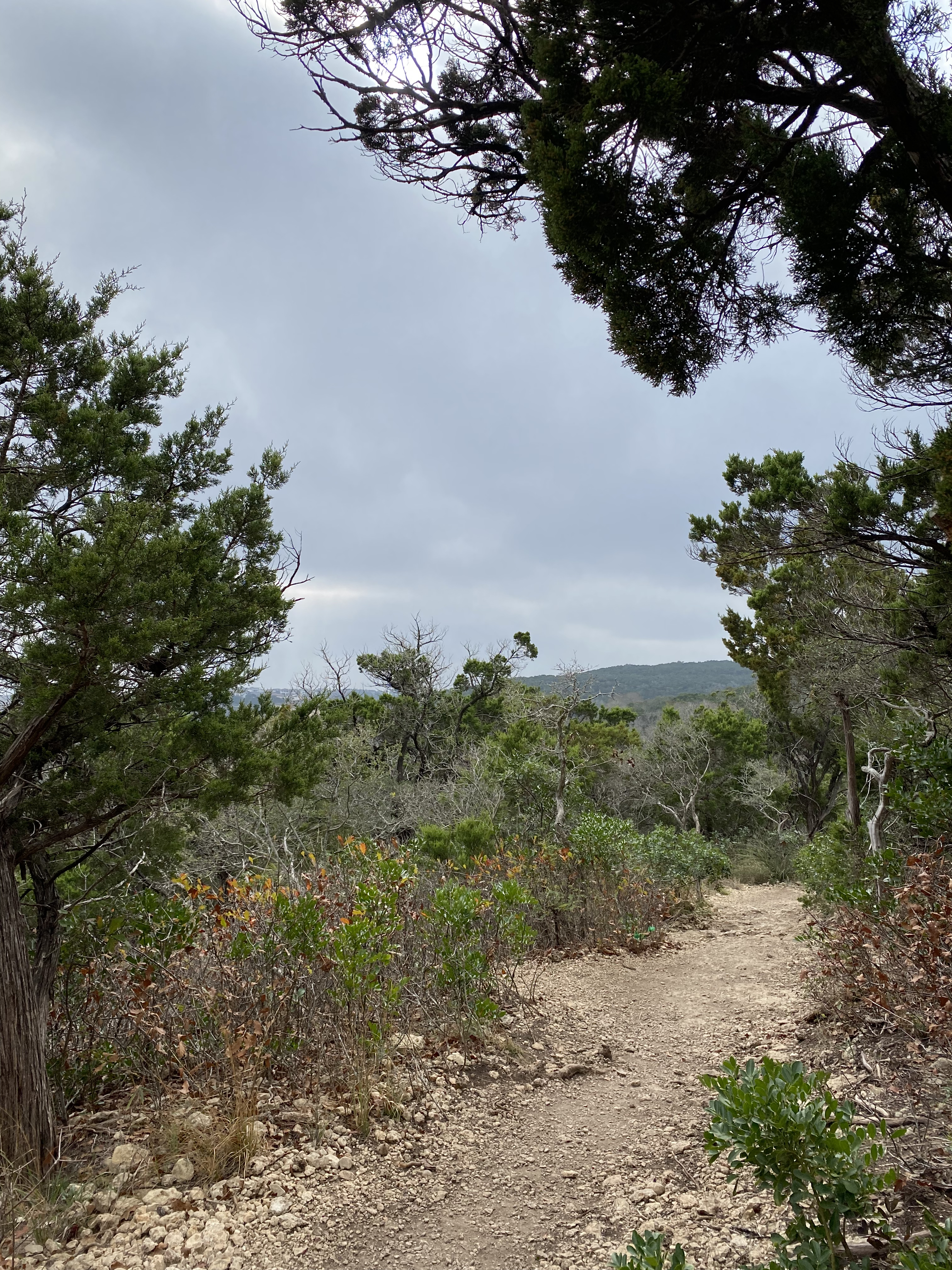 Hike Main Loop And Juniper Trail