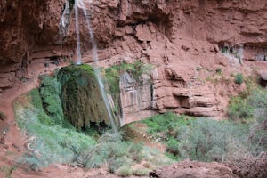 Phantom Ranch to Ribbon Falls via North Kaibab Trail