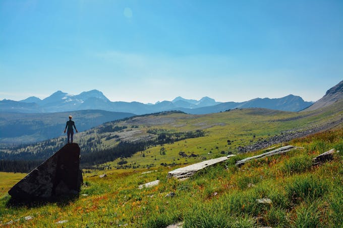 A person stands on a boulder in a meadow filled with wildflowers.