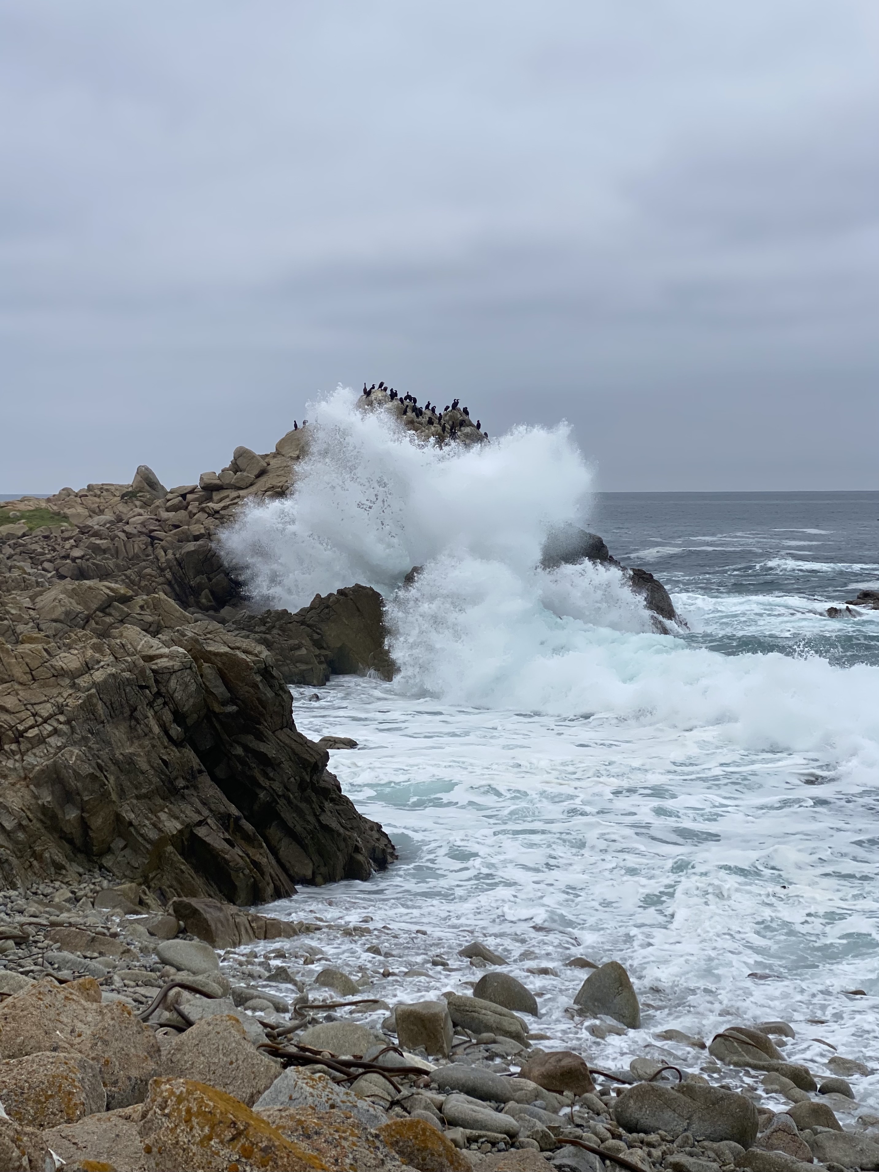 Spanish Bay Trail