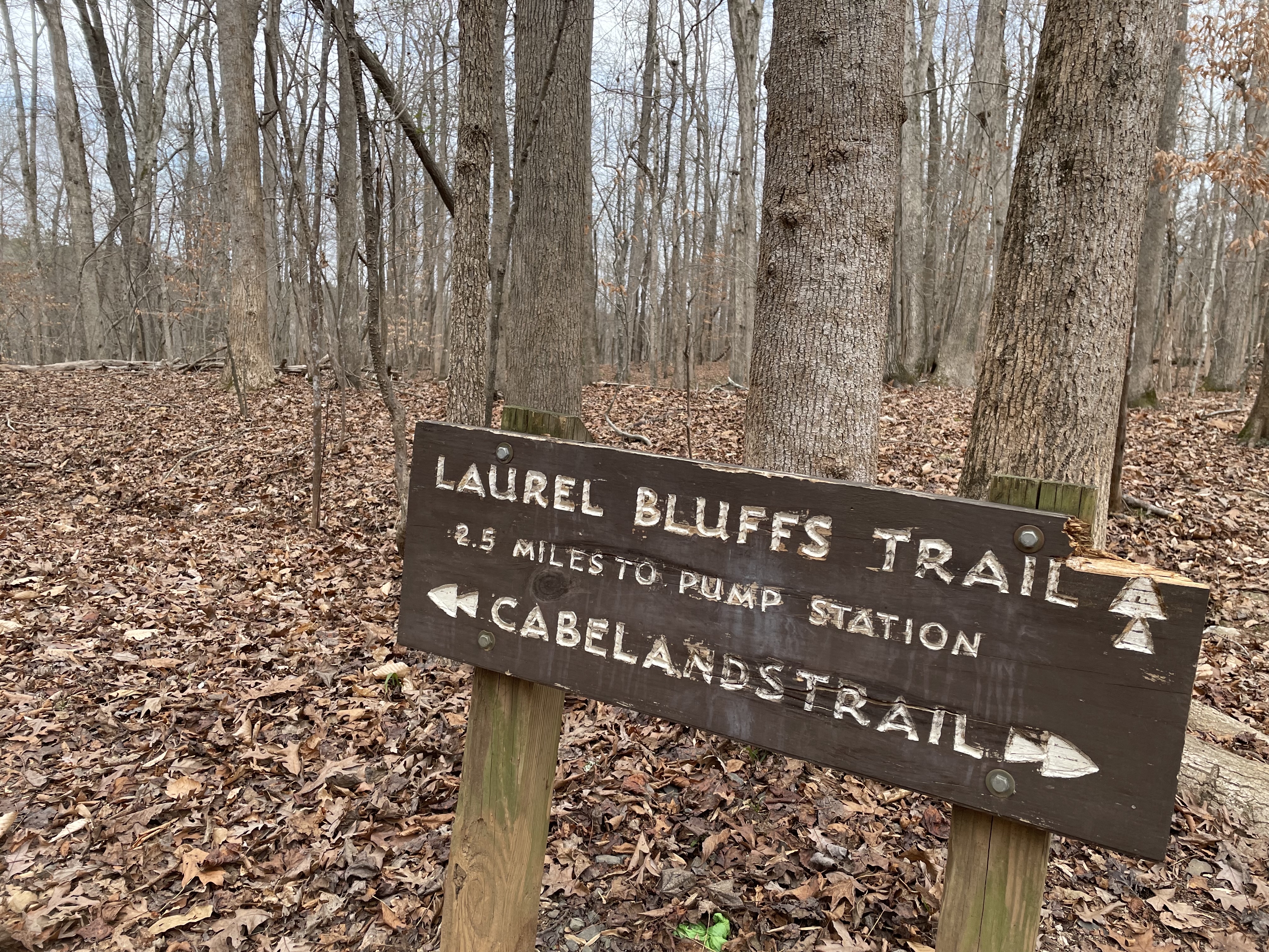 Cabe Lands Trail and Eno Quarry Loop