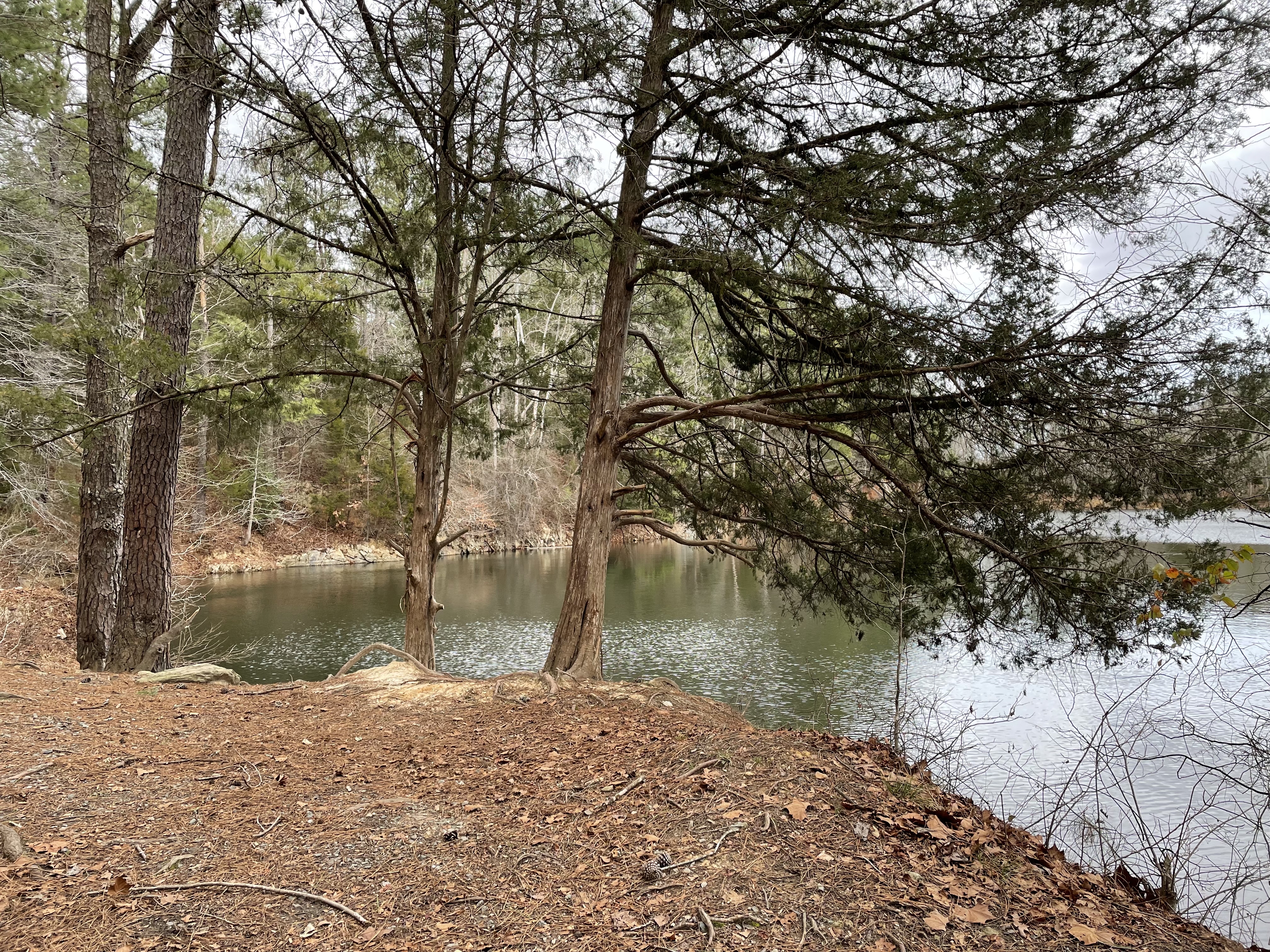 Cabe Lands Trail and Eno Quarry Loop