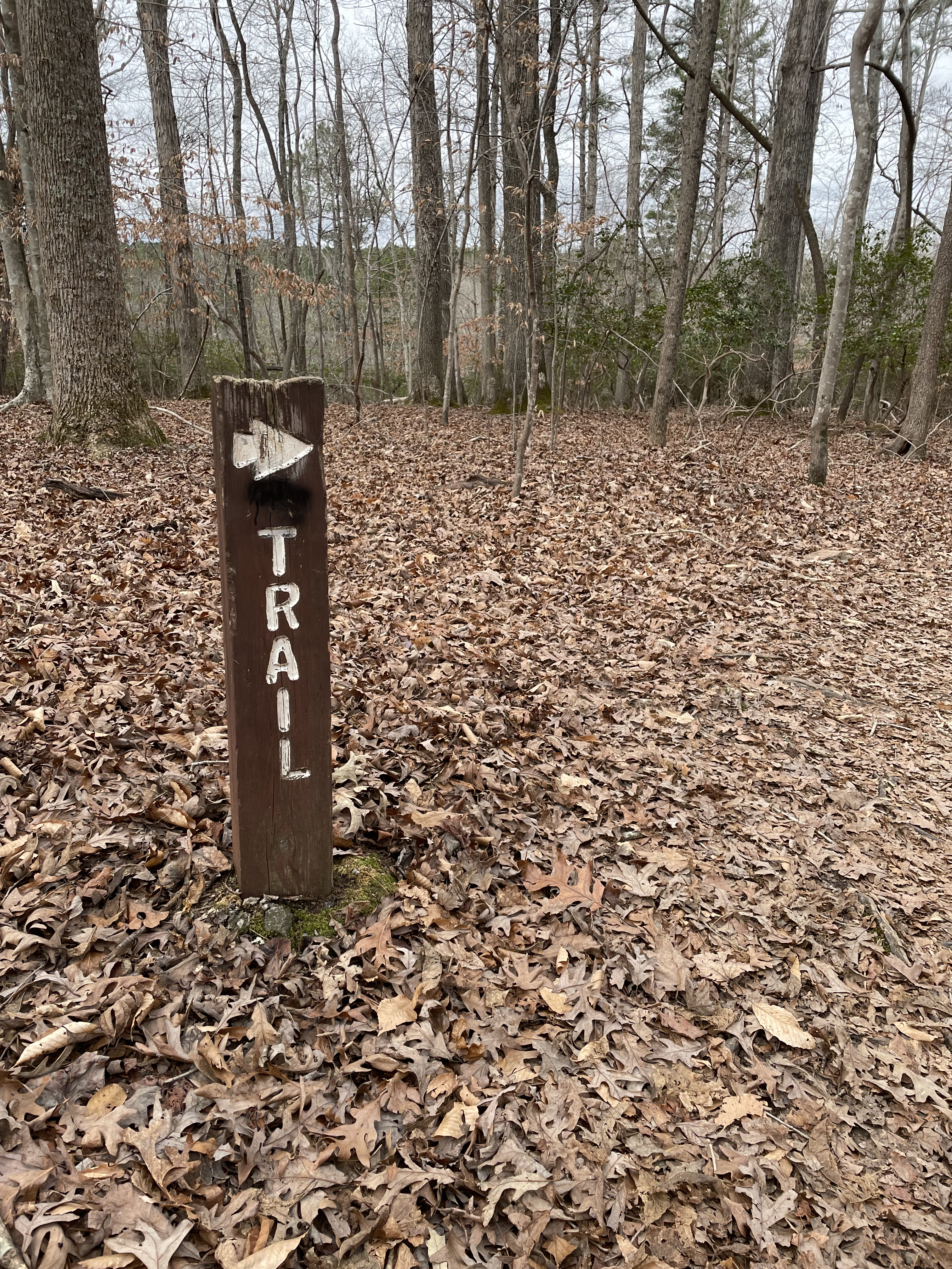 Cabe Lands Trail and Eno Quarry Loop