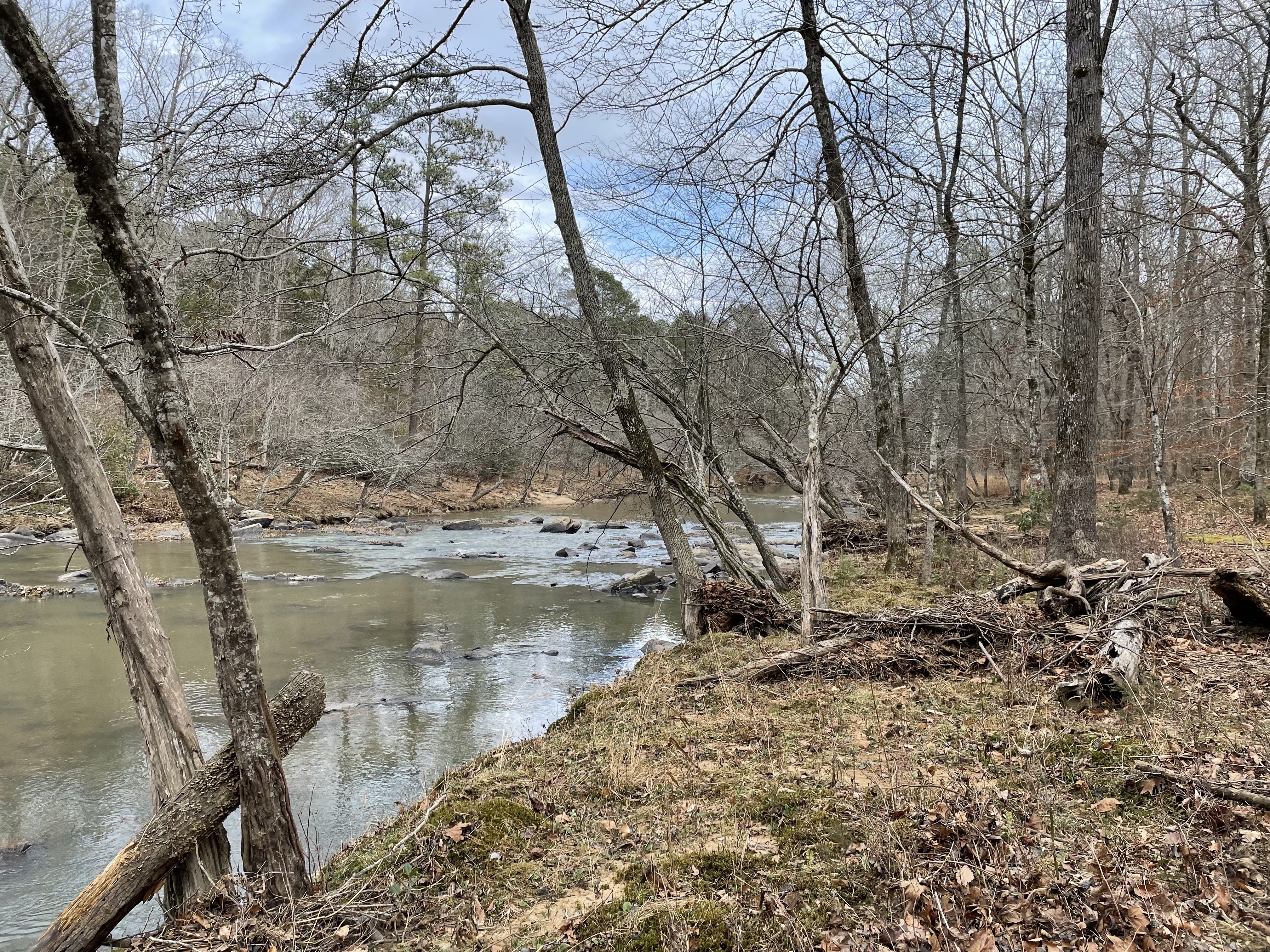 Cabe Lands Trail and Eno Quarry Loop
