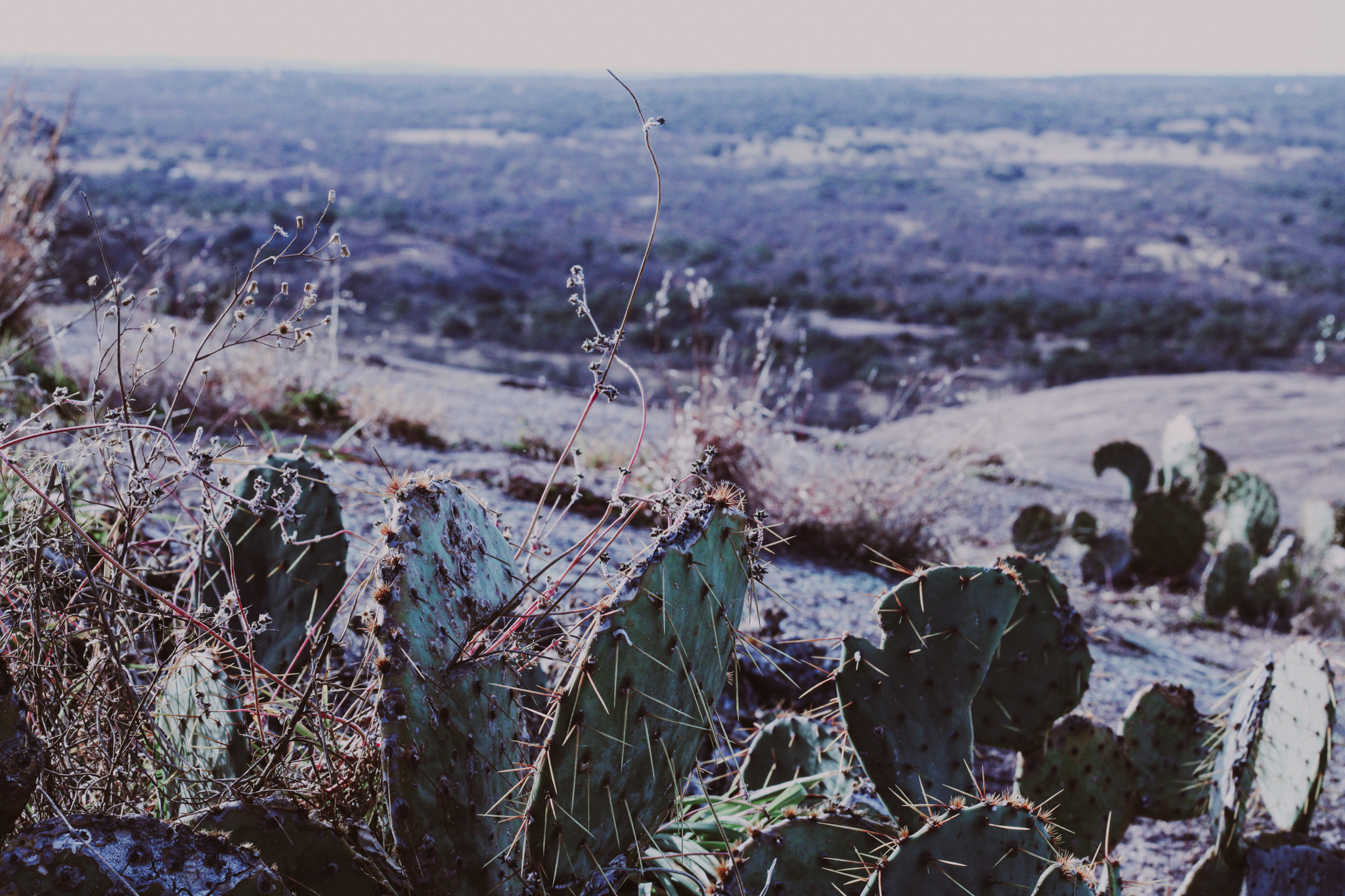 Enchanted Rock & Little Rock Loop