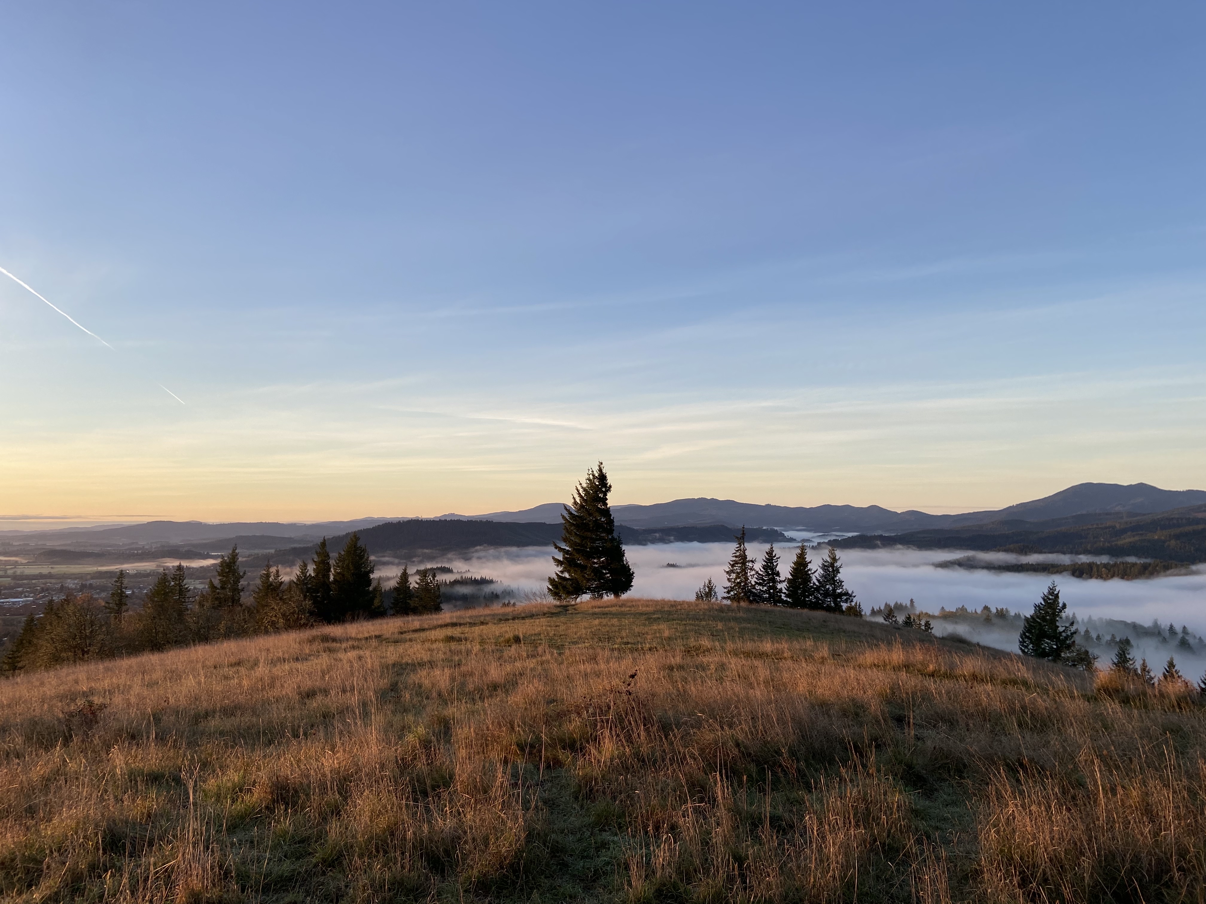 Hike the Fitton Green Natural Area Trail