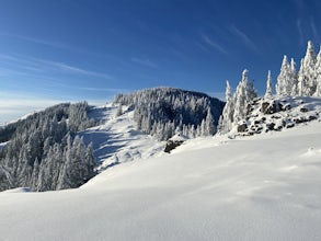 Horse Rock Ridge Research Natural Area