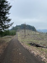 420, 300, and 400 Trails Loop