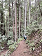 Baltimore Canyon Via Dawn Falls Trail Loop