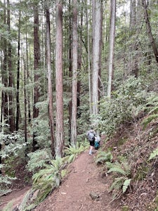 Baltimore Canyon Via Dawn Falls Trail Loop