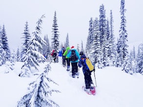 16 Favorite Winter Hikes in the Pacific Northwest