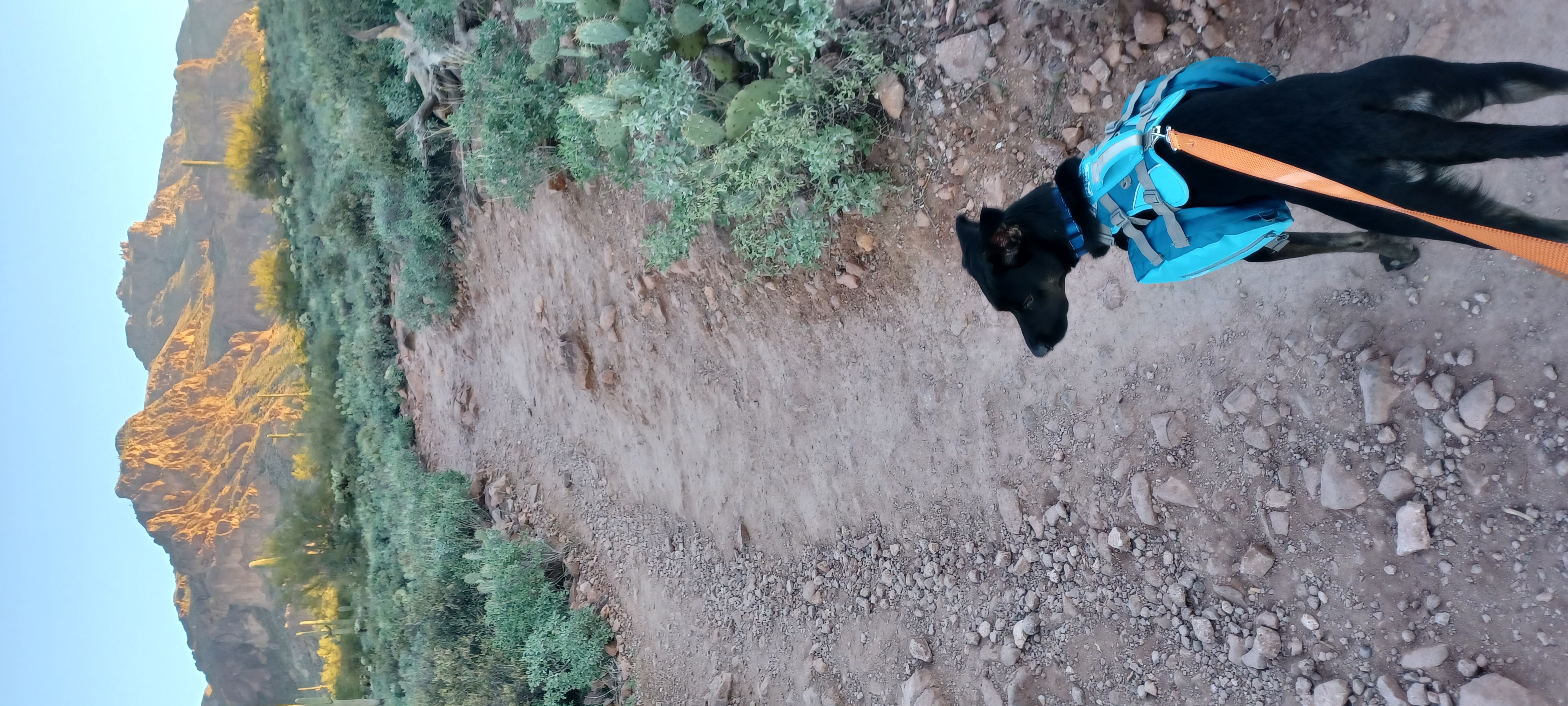 Hieroglyphic Trail