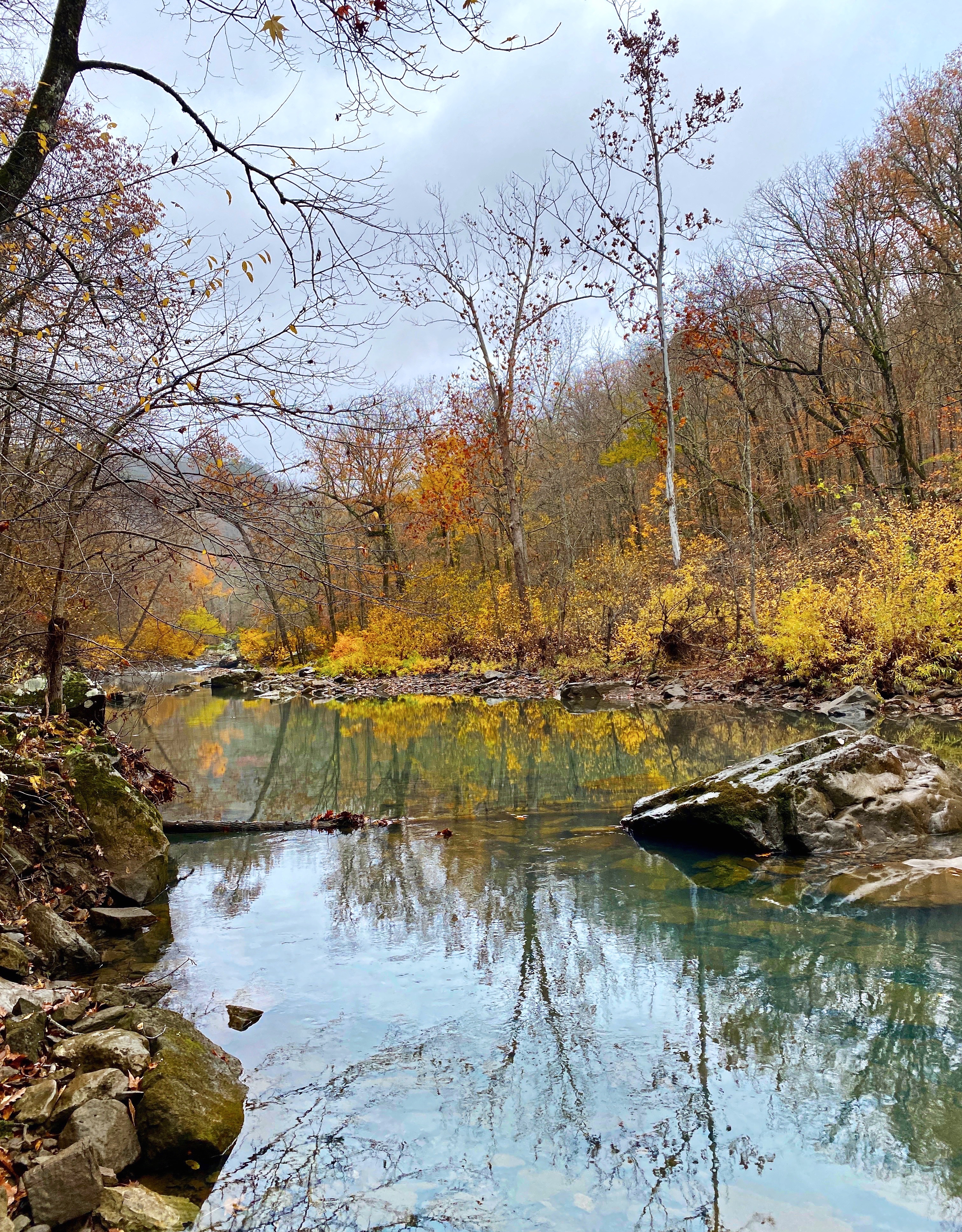 Richland Creek Campground Trail, Witts Springs, Arkansas