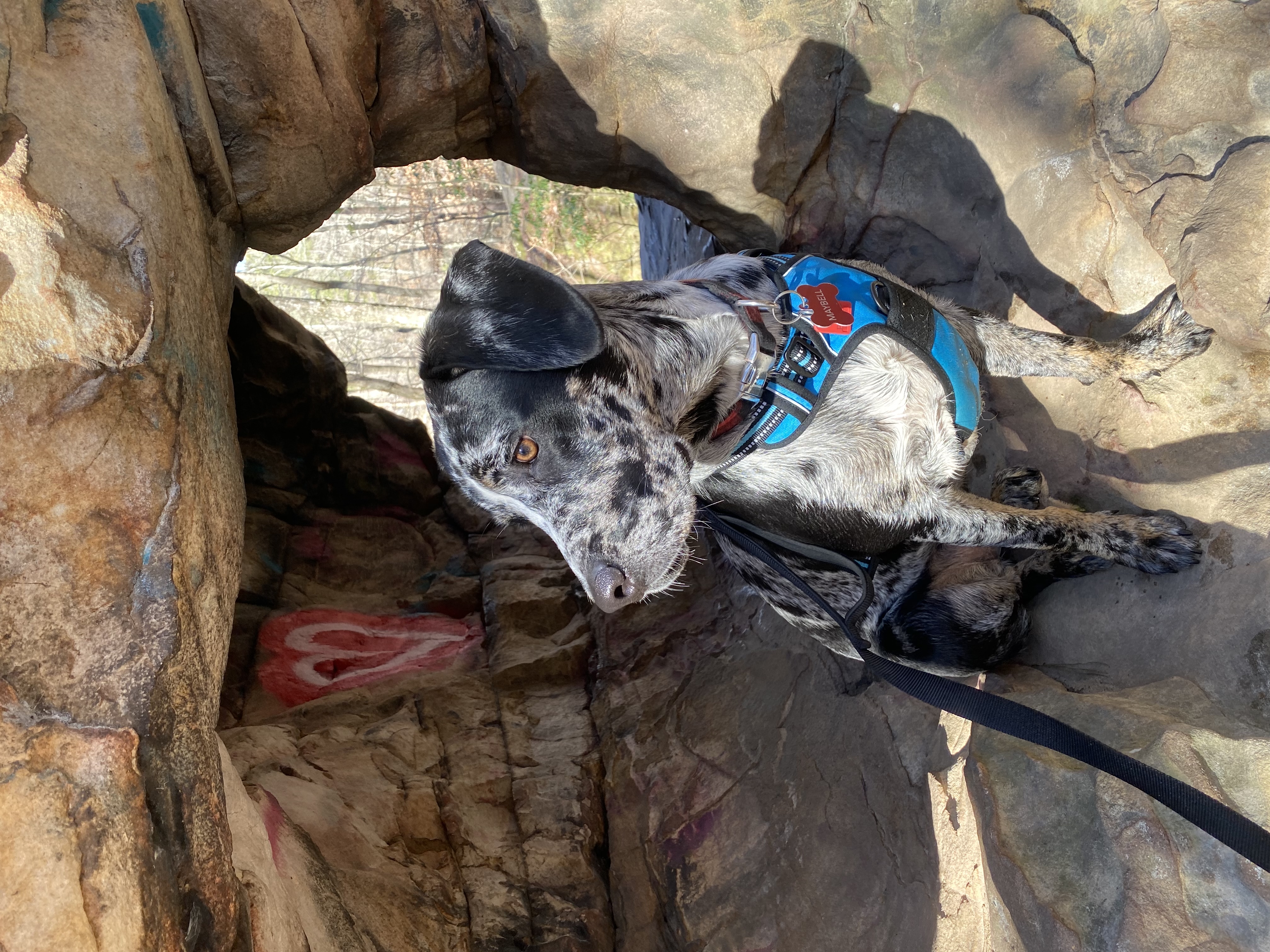 Exploring Moss Rock Preserve