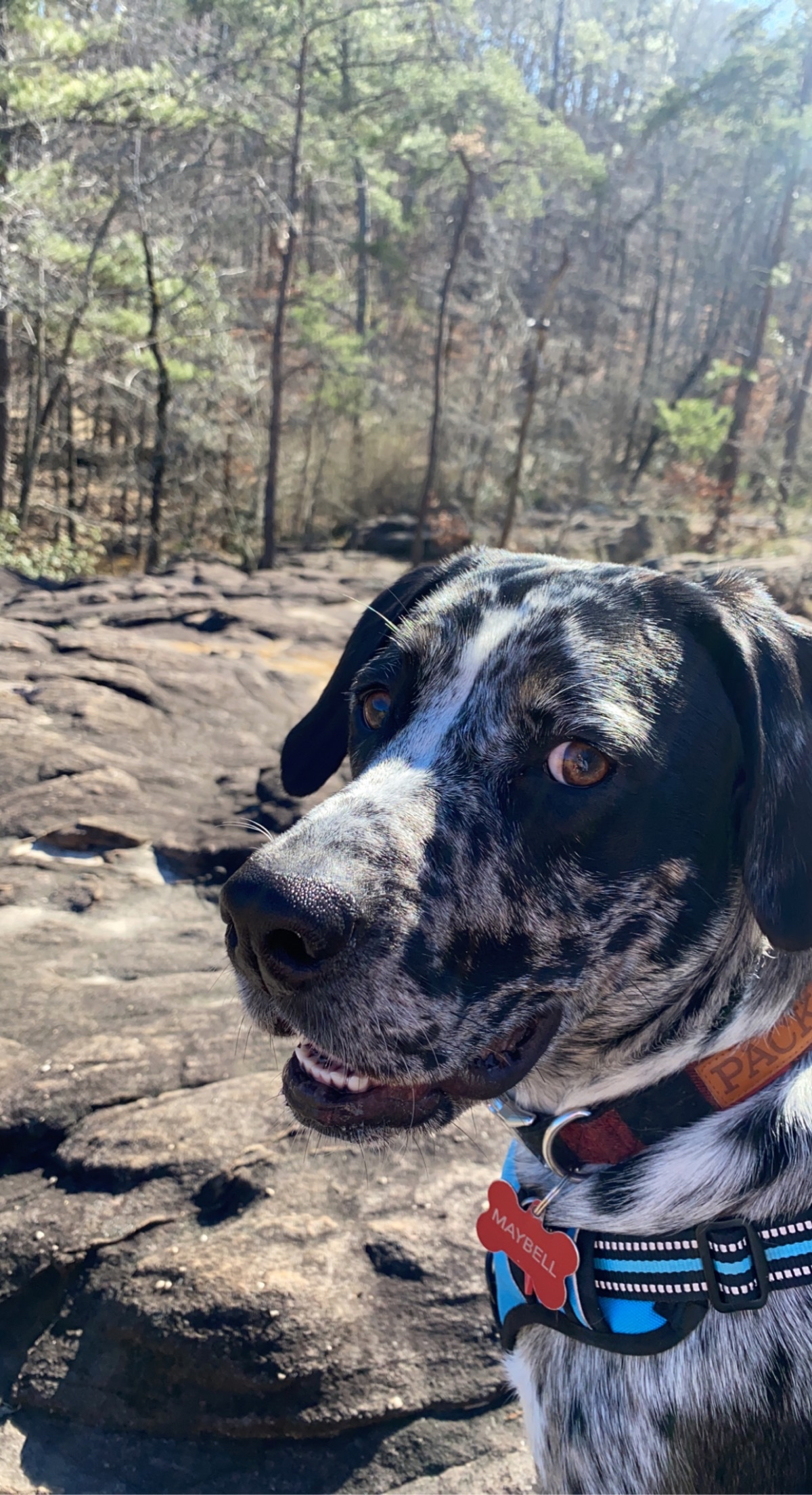 Exploring Moss Rock Preserve