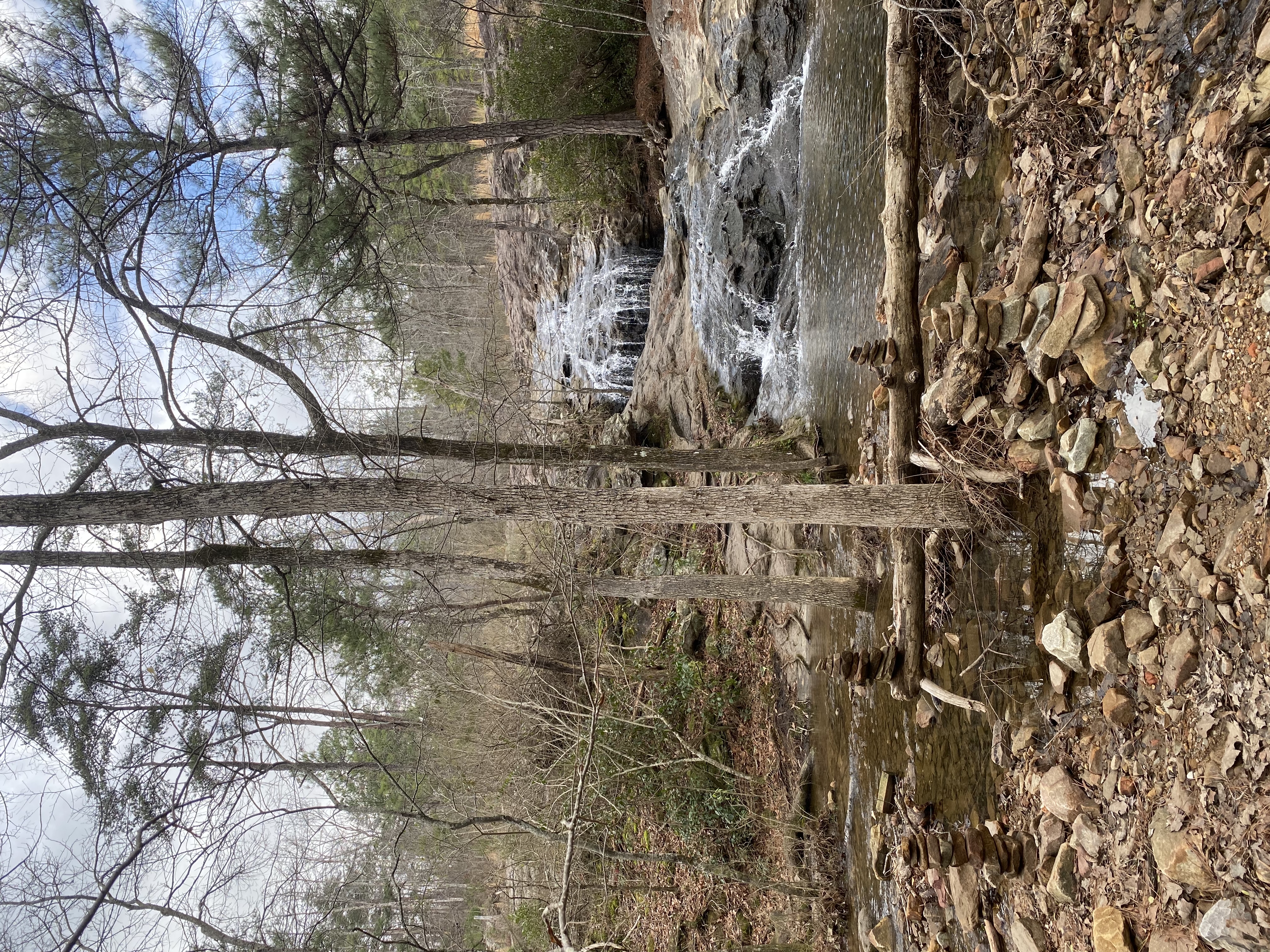 Exploring Moss Rock Preserve