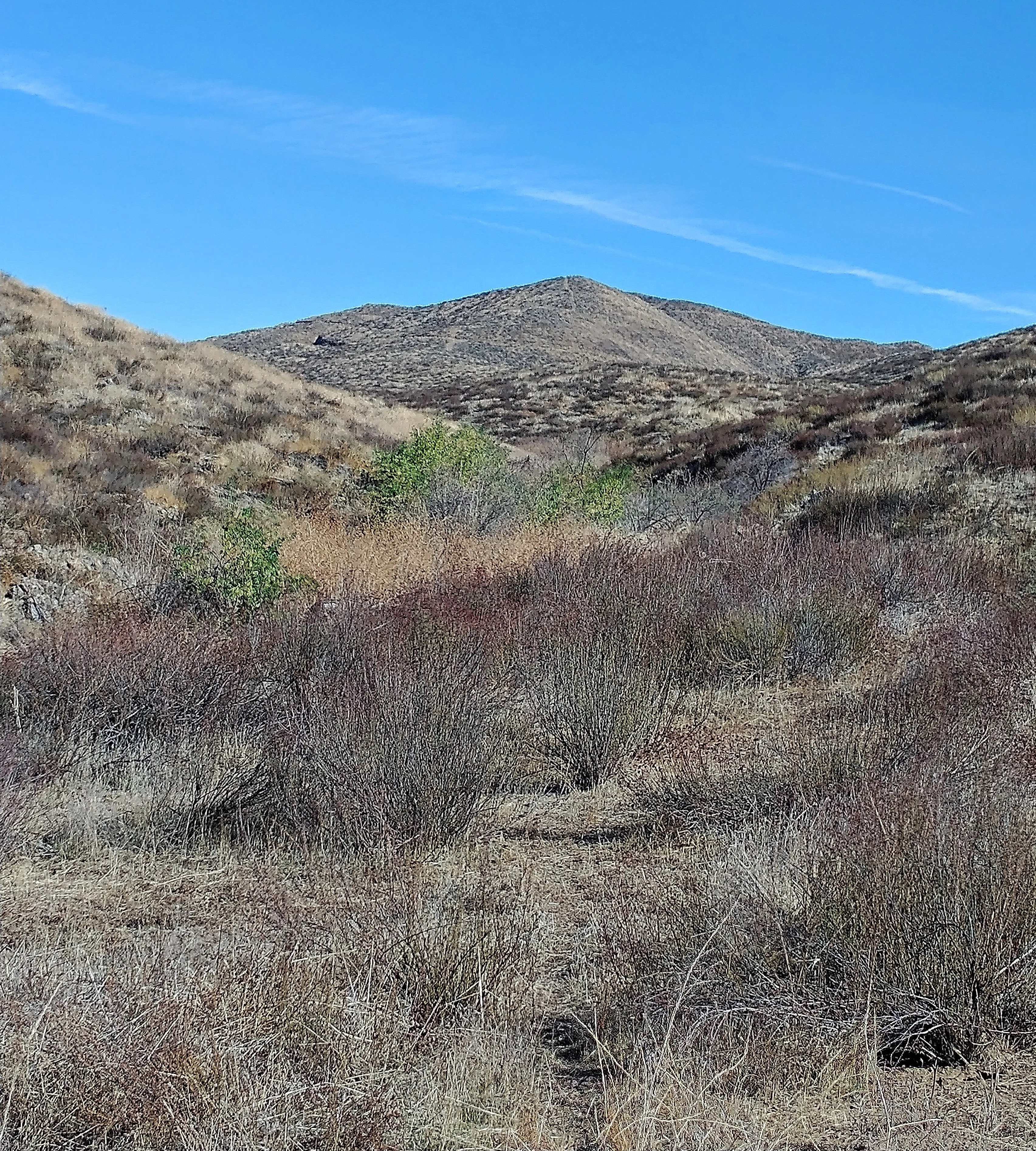 Kabian Memorial Park Loop