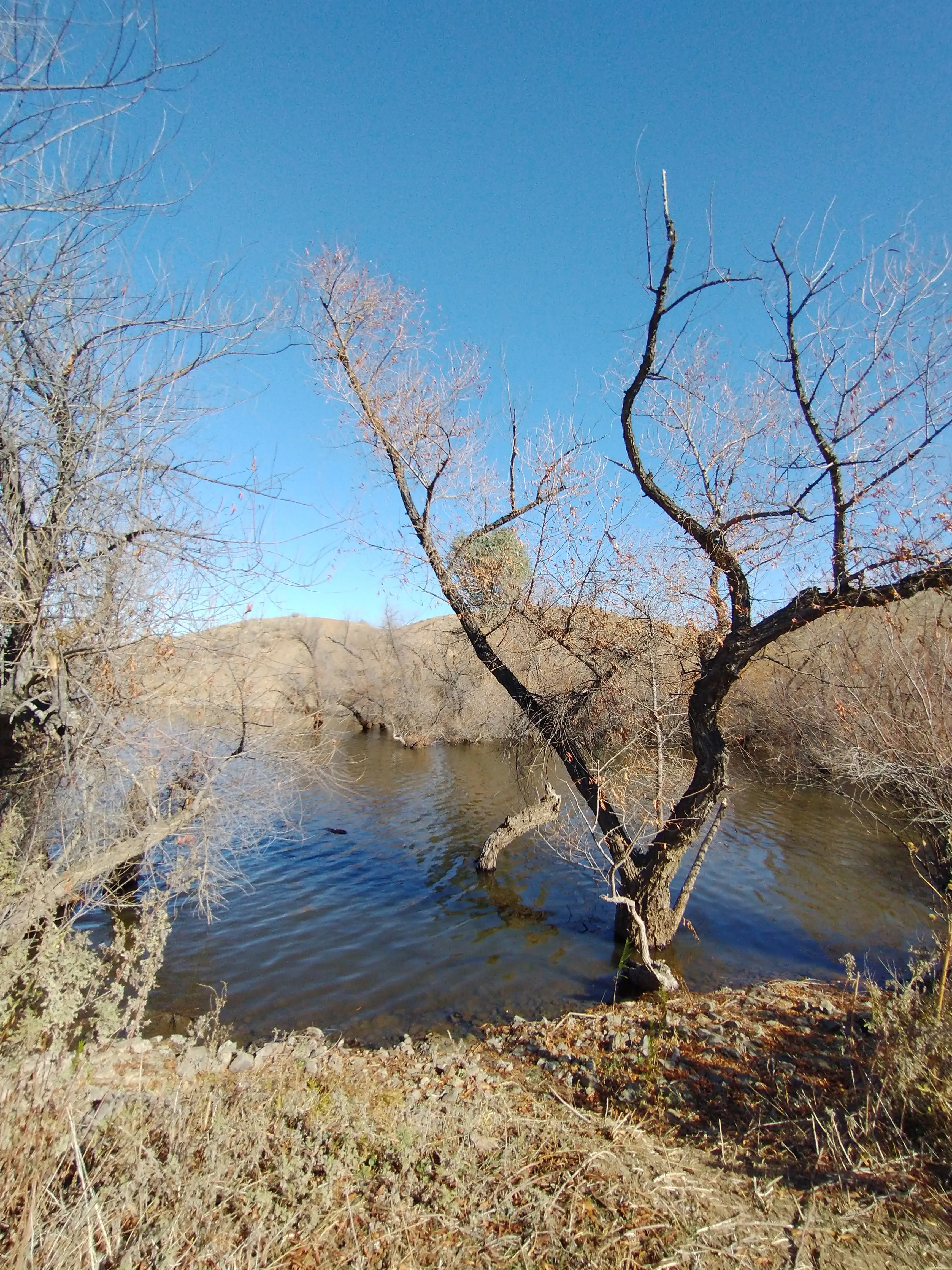 Kabian Memorial Park Loop