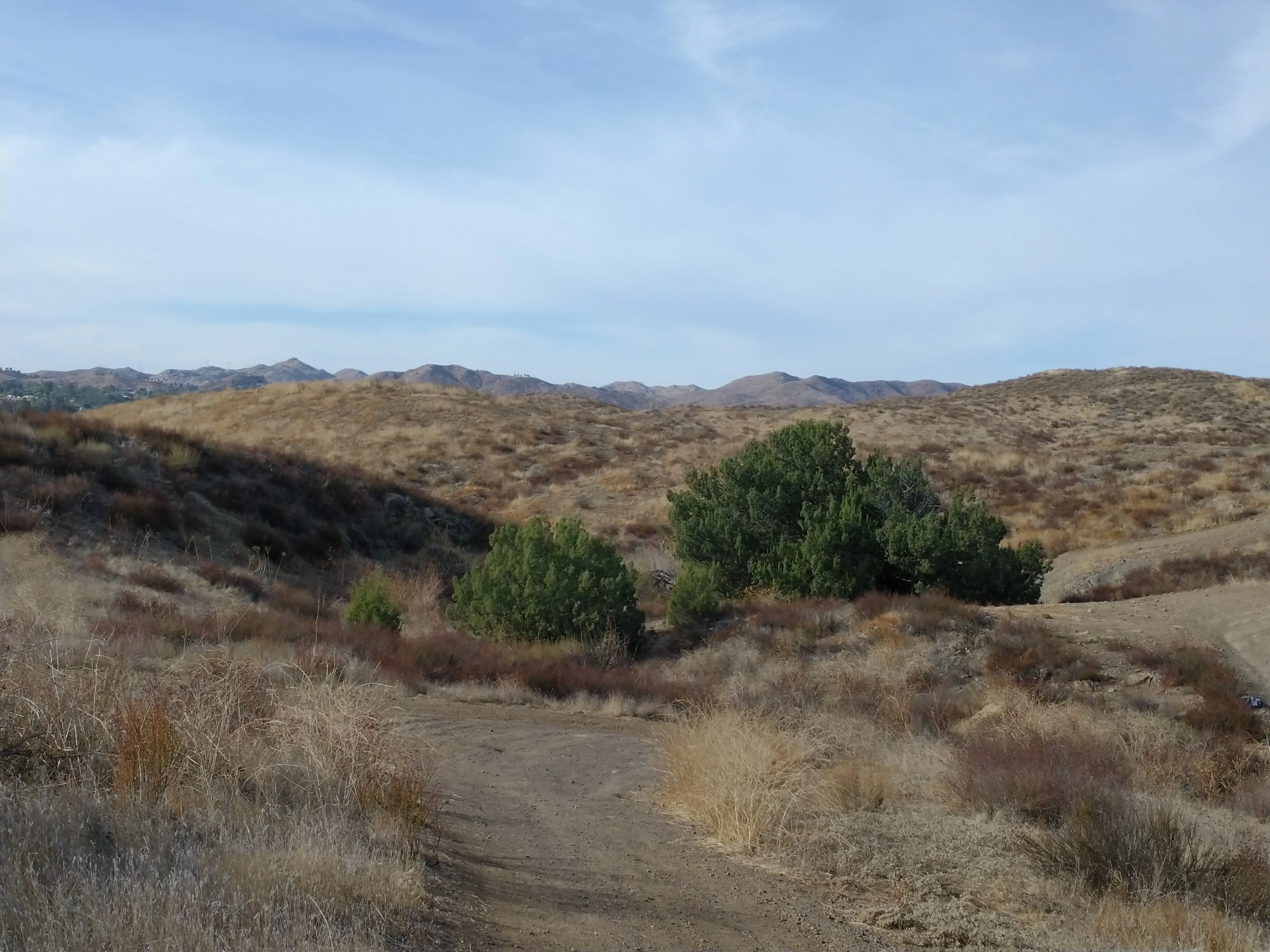 Kabian Memorial Park Loop