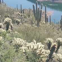 Yavapai Point Trail