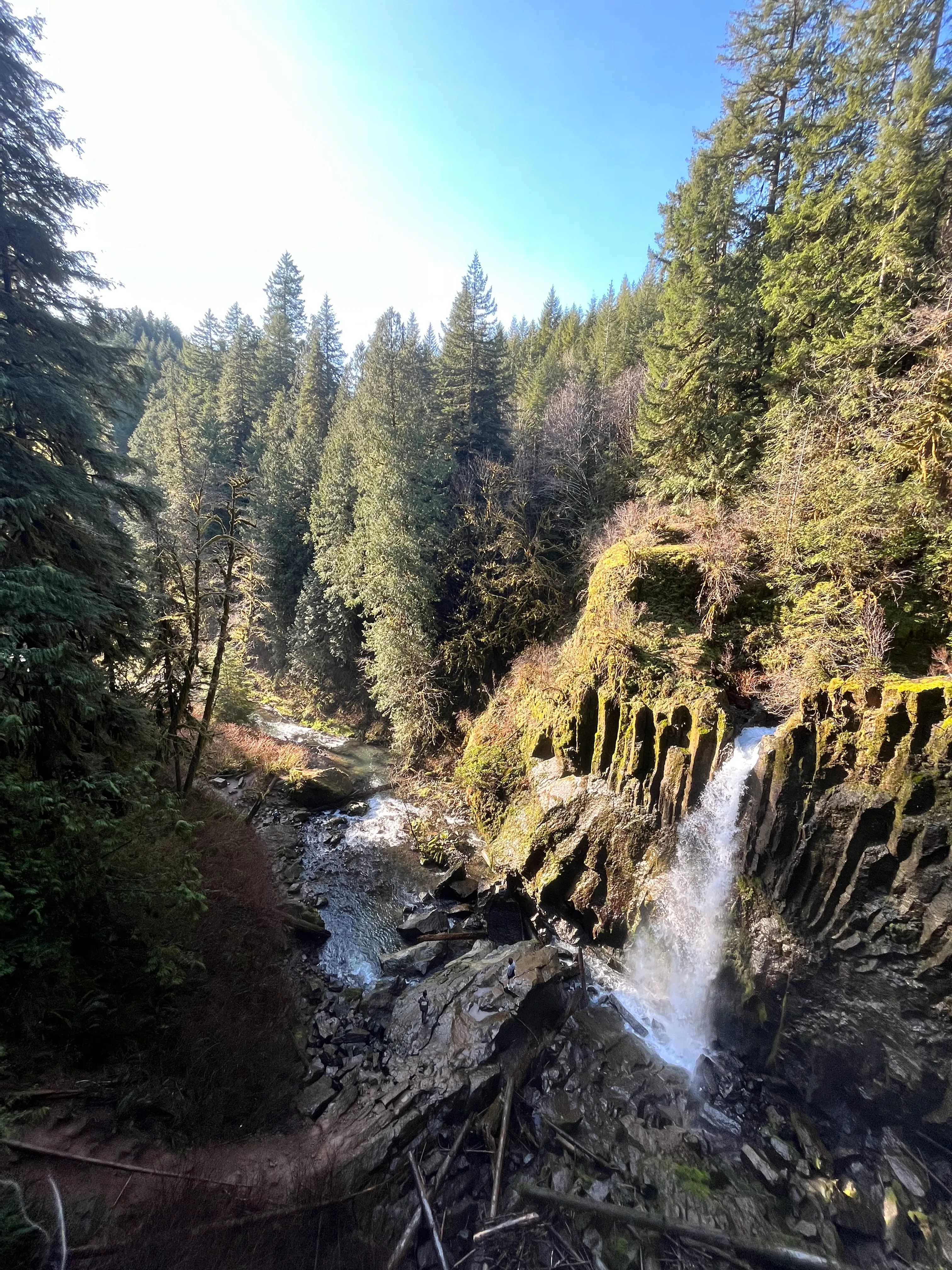 Drift Creek Falls