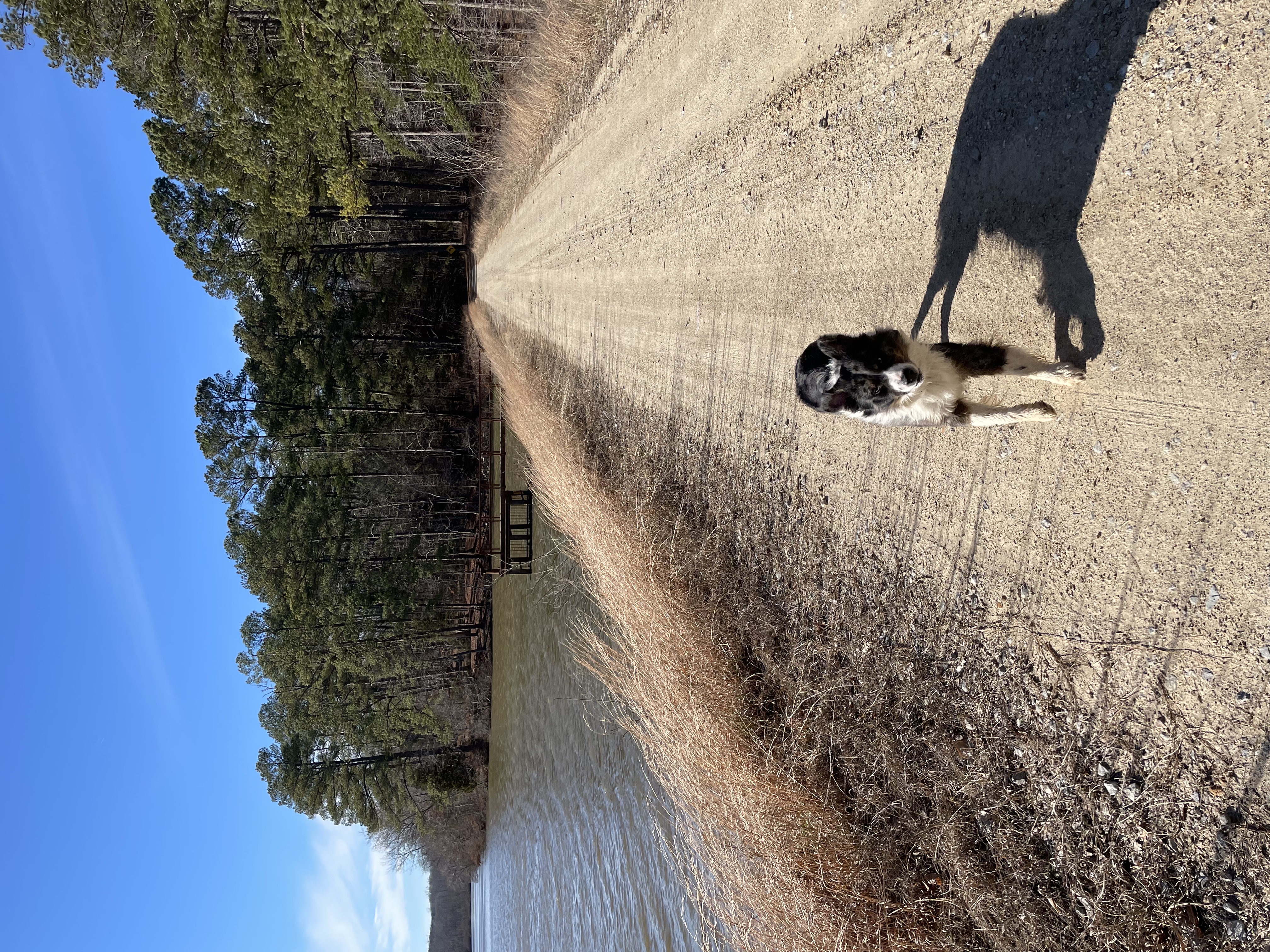 Cub Lake Trail